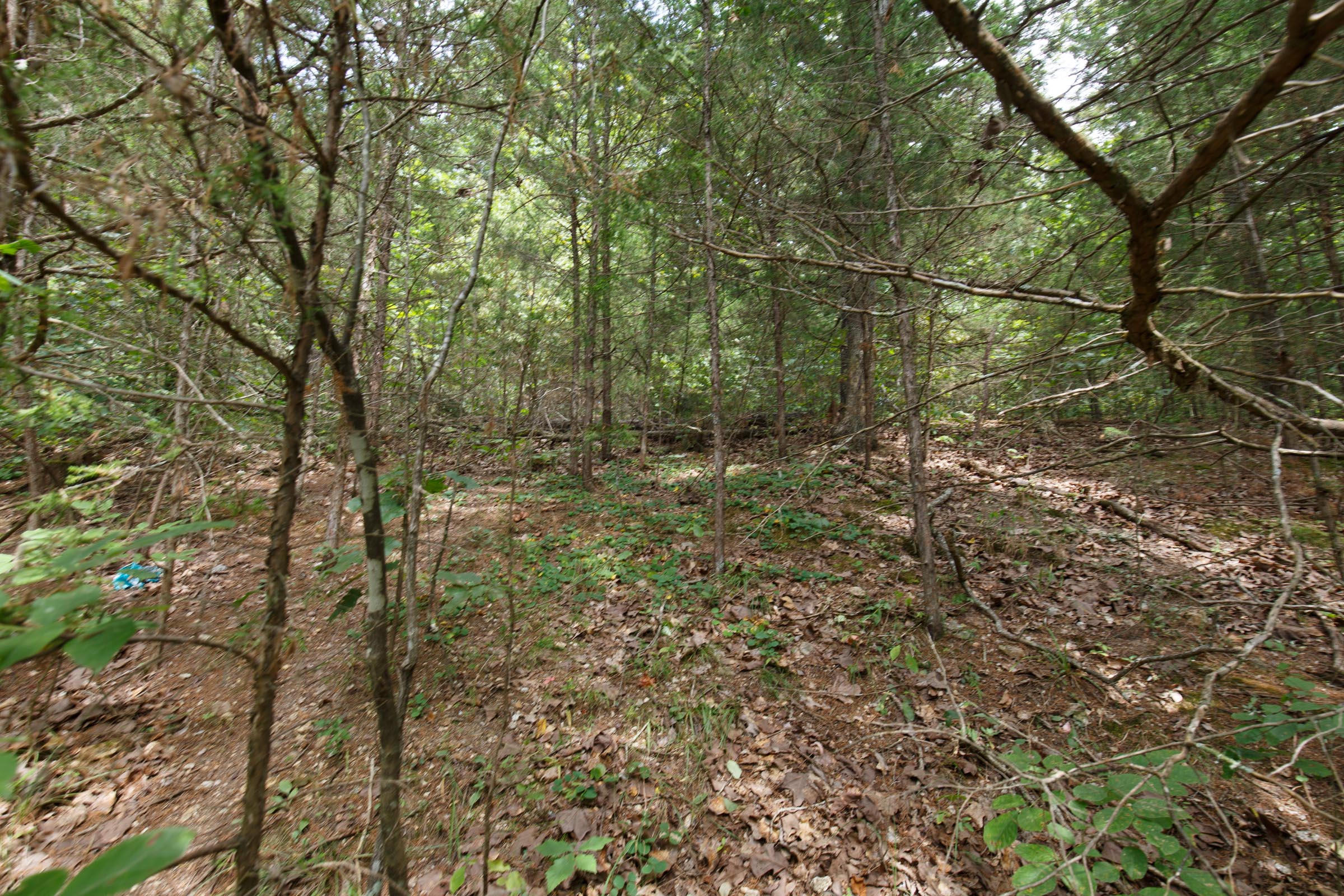 Tract 310 at Springlake in Miller County, Missouri