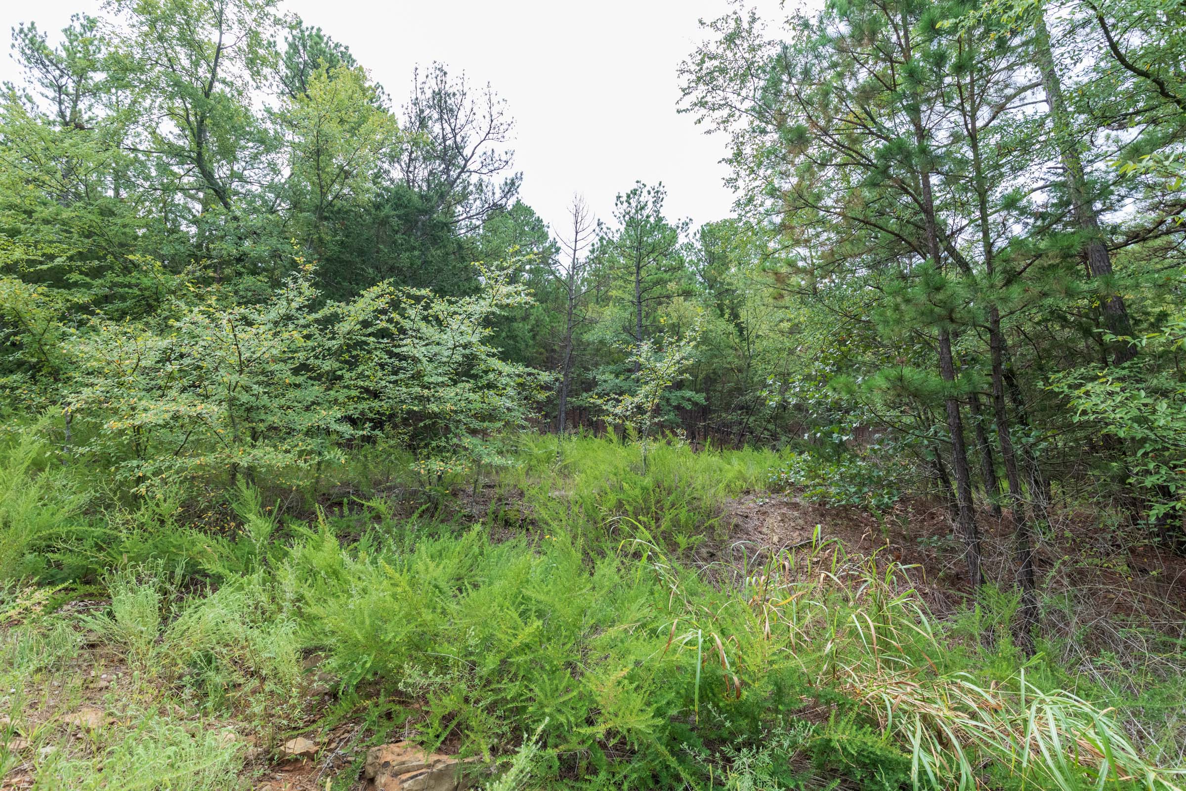 Tract 328 at Stone Bridge Phase V in LatimerHaskell County, Oklahoma
