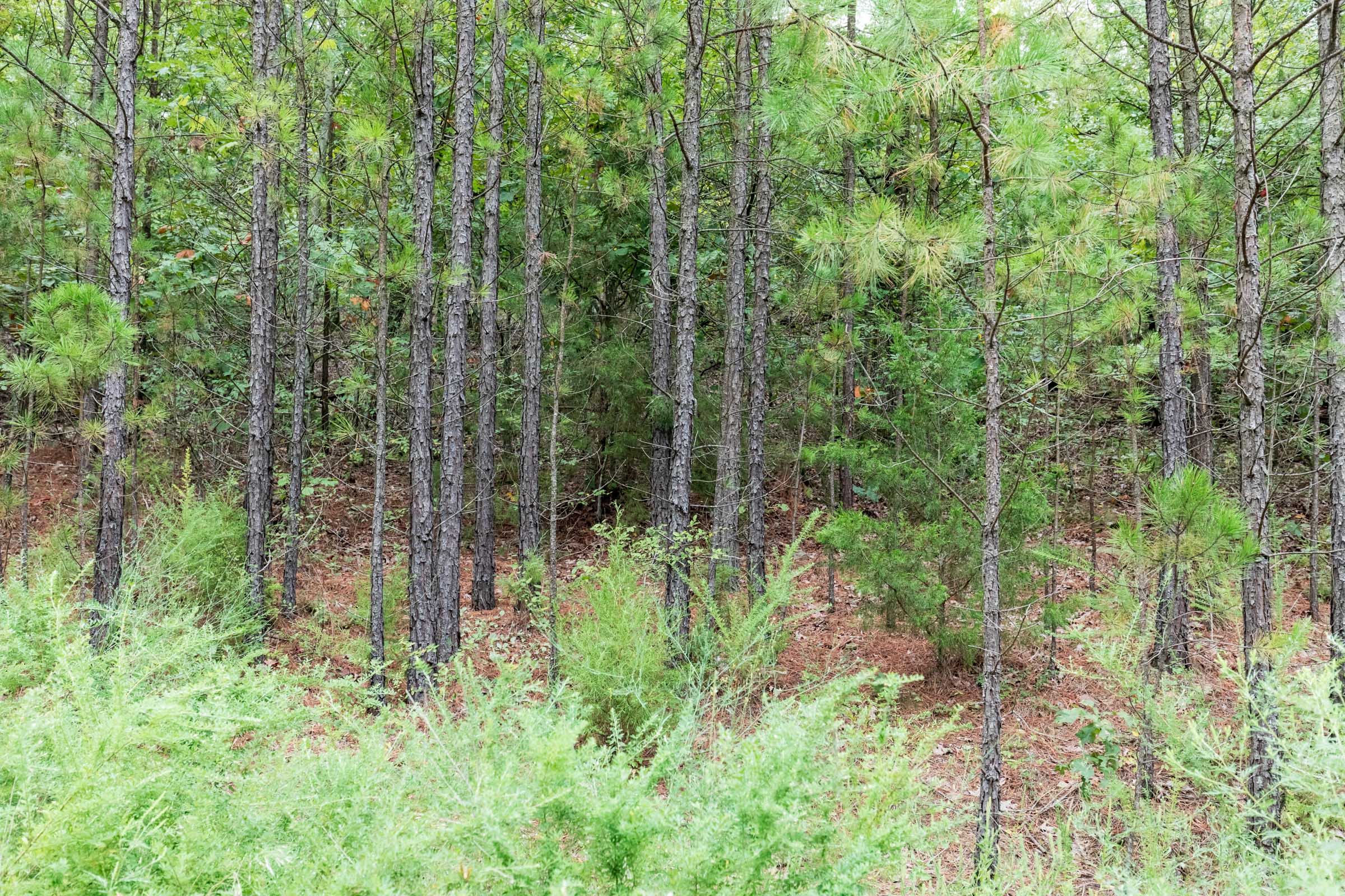 Tract 329 at Stone Bridge Phase V in LatimerHaskell County, Oklahoma