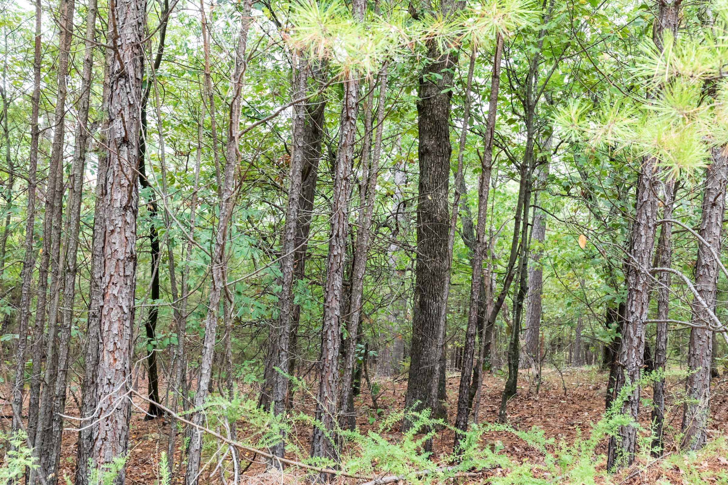 Tract 330 at Stone Bridge Phase V in LatimerHaskell County, Oklahoma