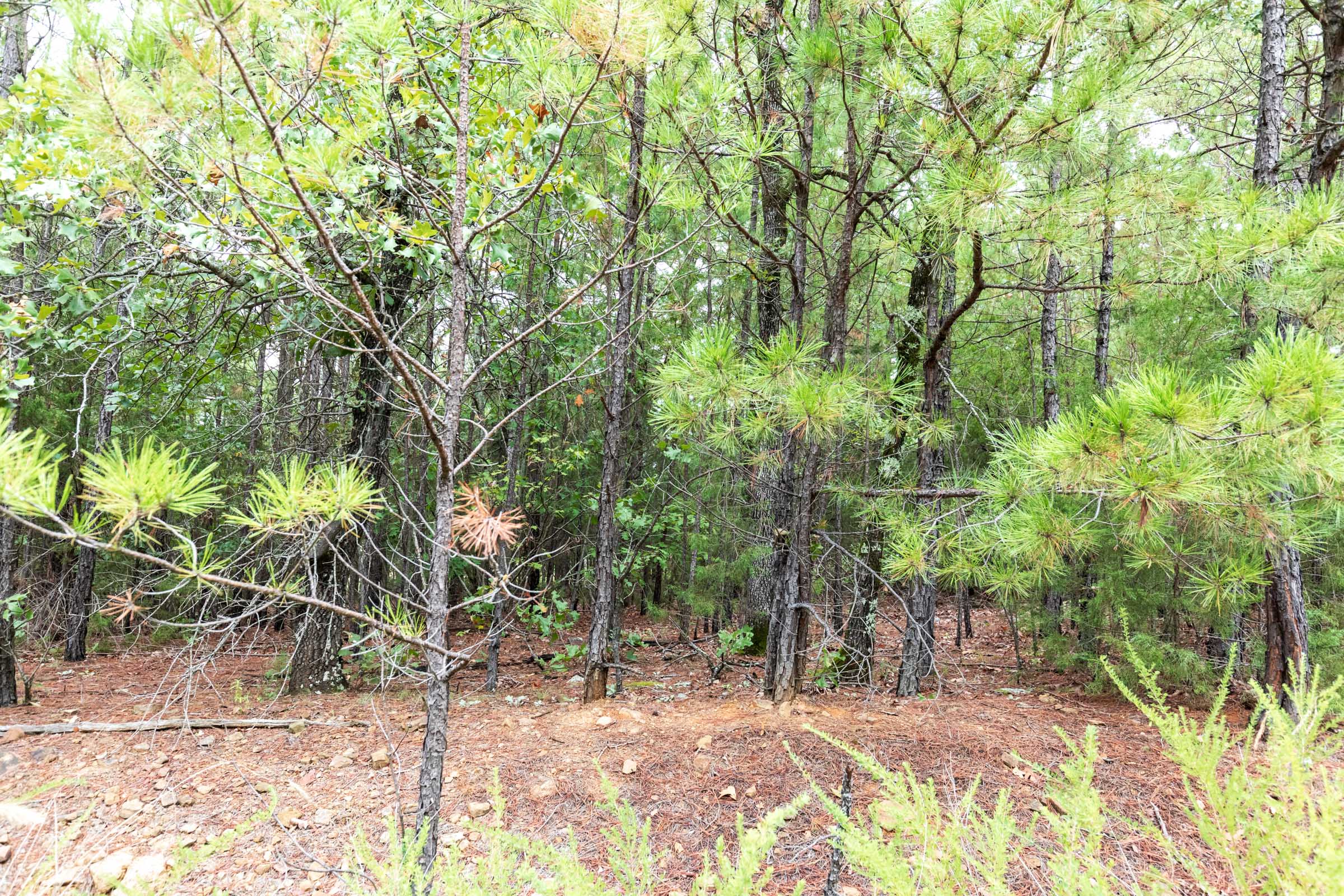 Tract 331 at Stone Bridge Phase V in LatimerHaskell County, Oklahoma