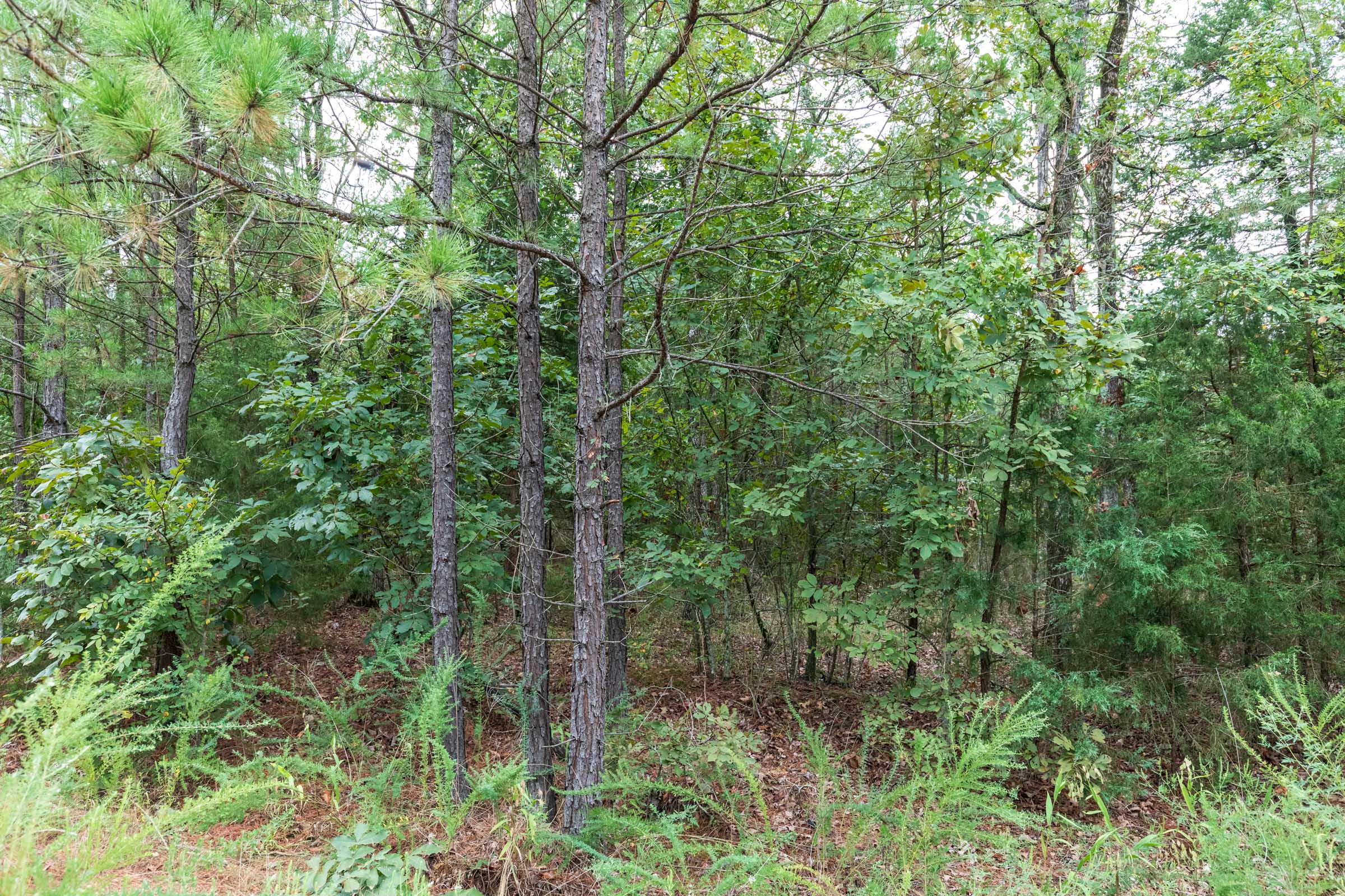 Tract 332 at Stone Bridge Phase V in LatimerHaskell County, Oklahoma