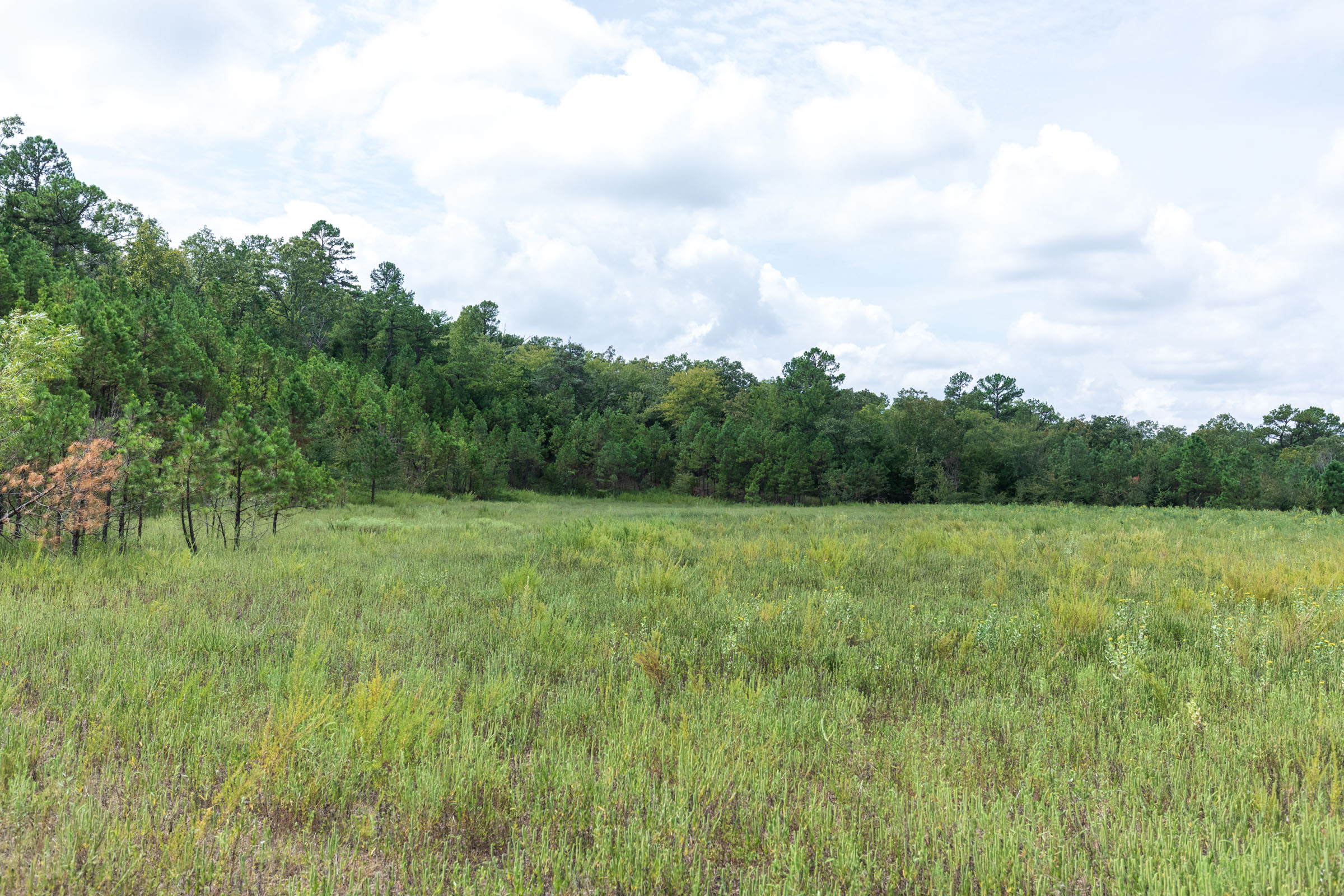 Tract 335 at Stone Bridge Phase V in LatimerHaskell County, Oklahoma