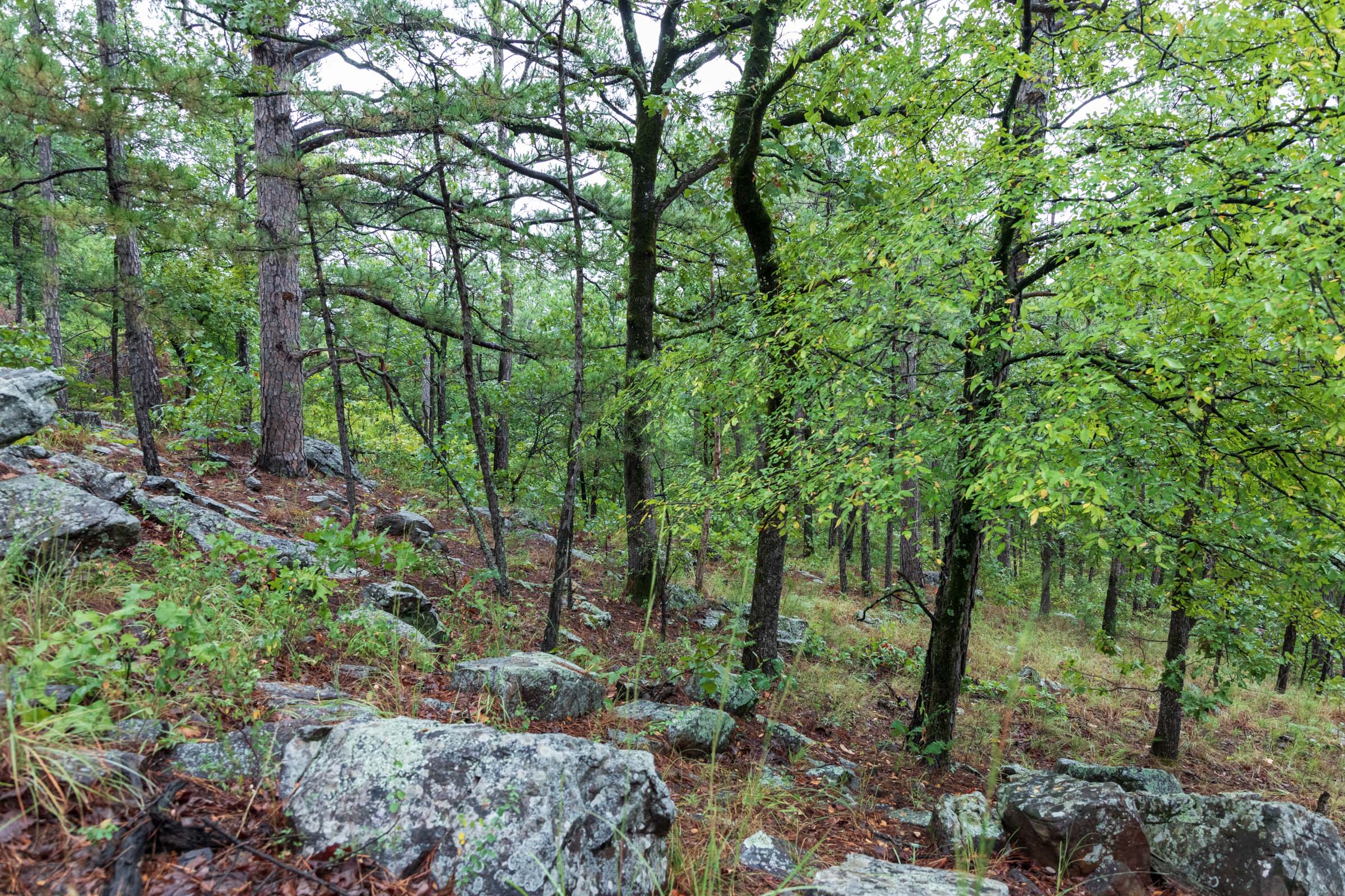 Tract 339 at Stone Bridge Phase V in LatimerHaskell County, Oklahoma