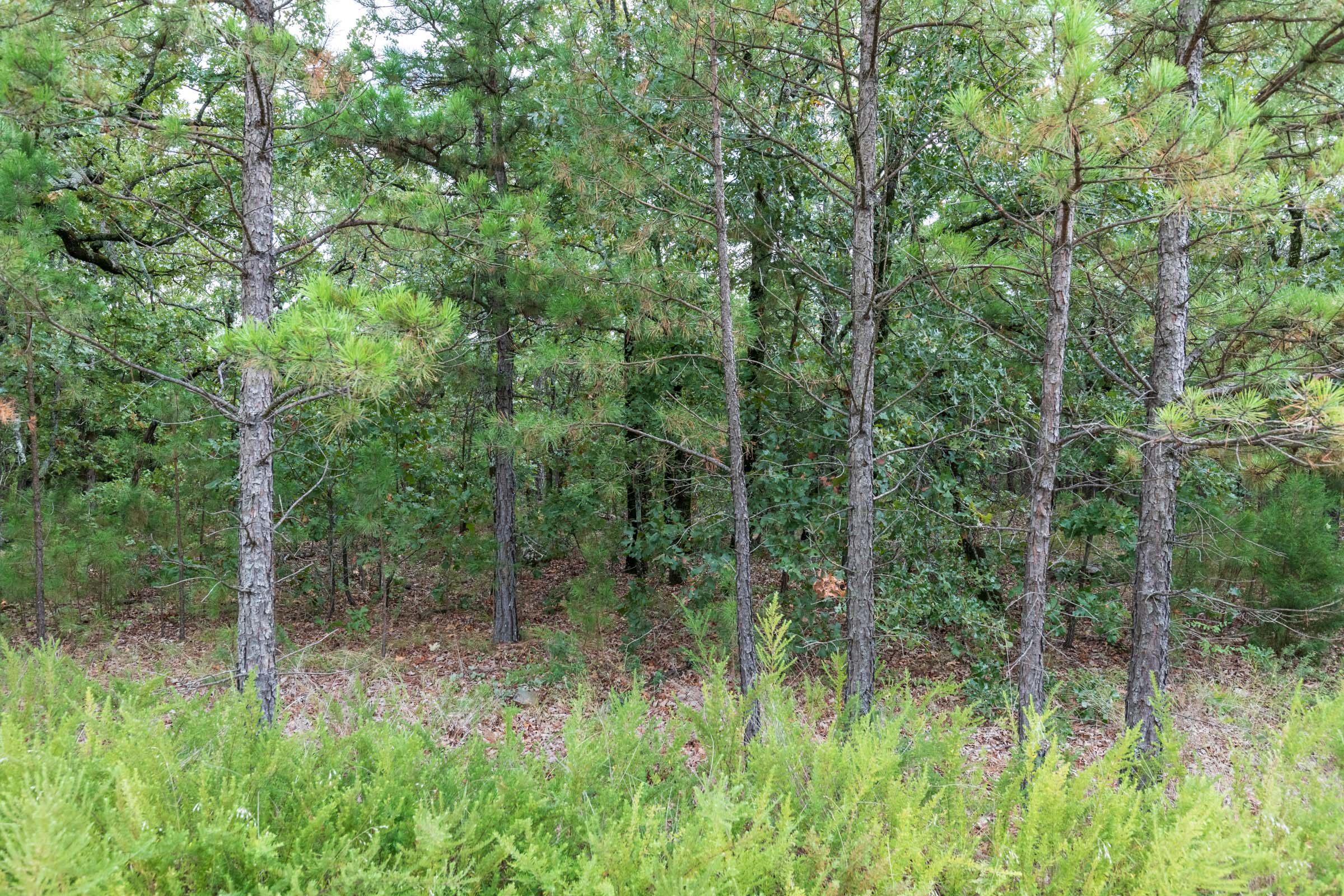 Tract 342 at Stone Bridge Phase V in LatimerHaskell County, Oklahoma