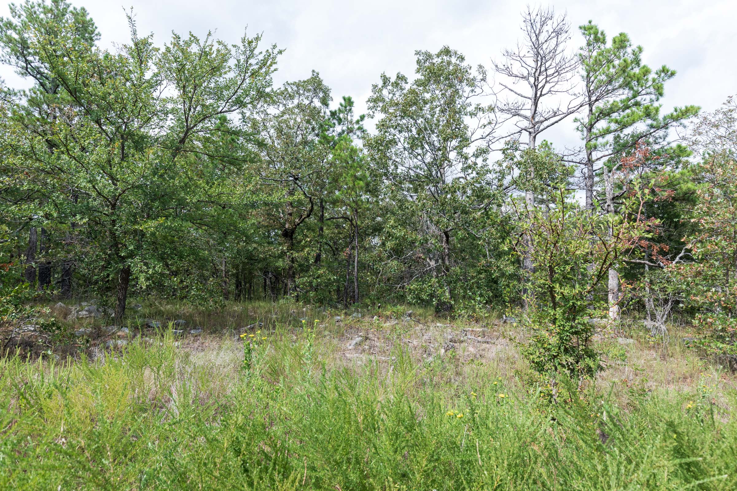 Tract 343 at Stone Bridge Phase V in LatimerHaskell County, Oklahoma
