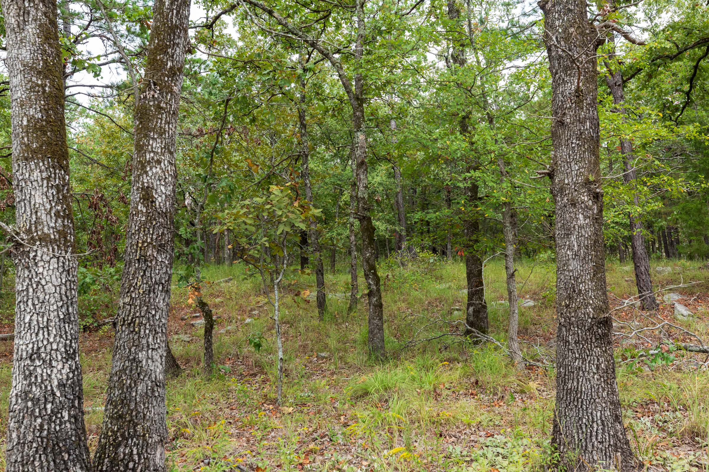 Tract 344 at Stone Bridge Phase V in LatimerHaskell County, Oklahoma
