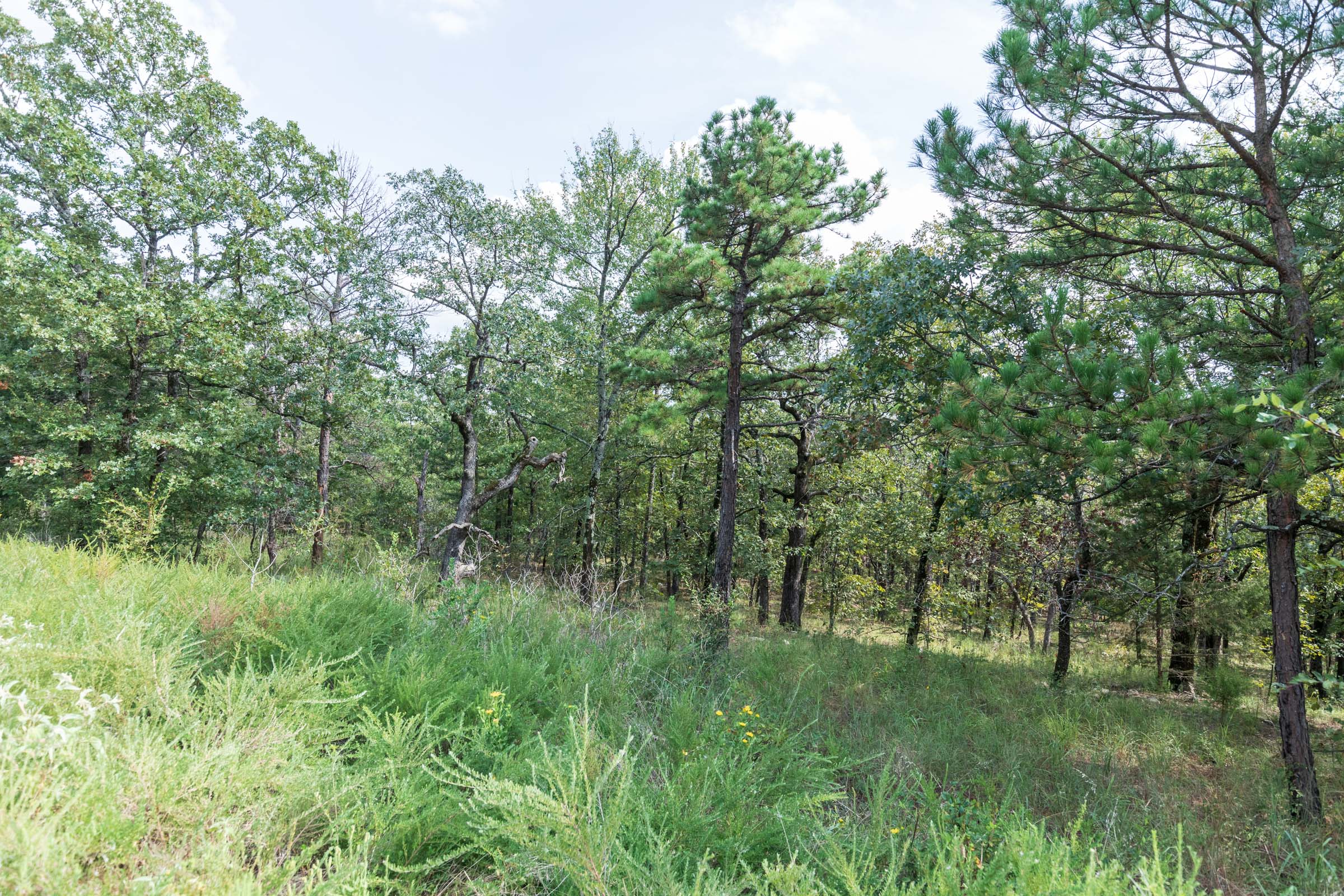 Tract 345 at Stone Bridge Phase V in LatimerHaskell County, Oklahoma