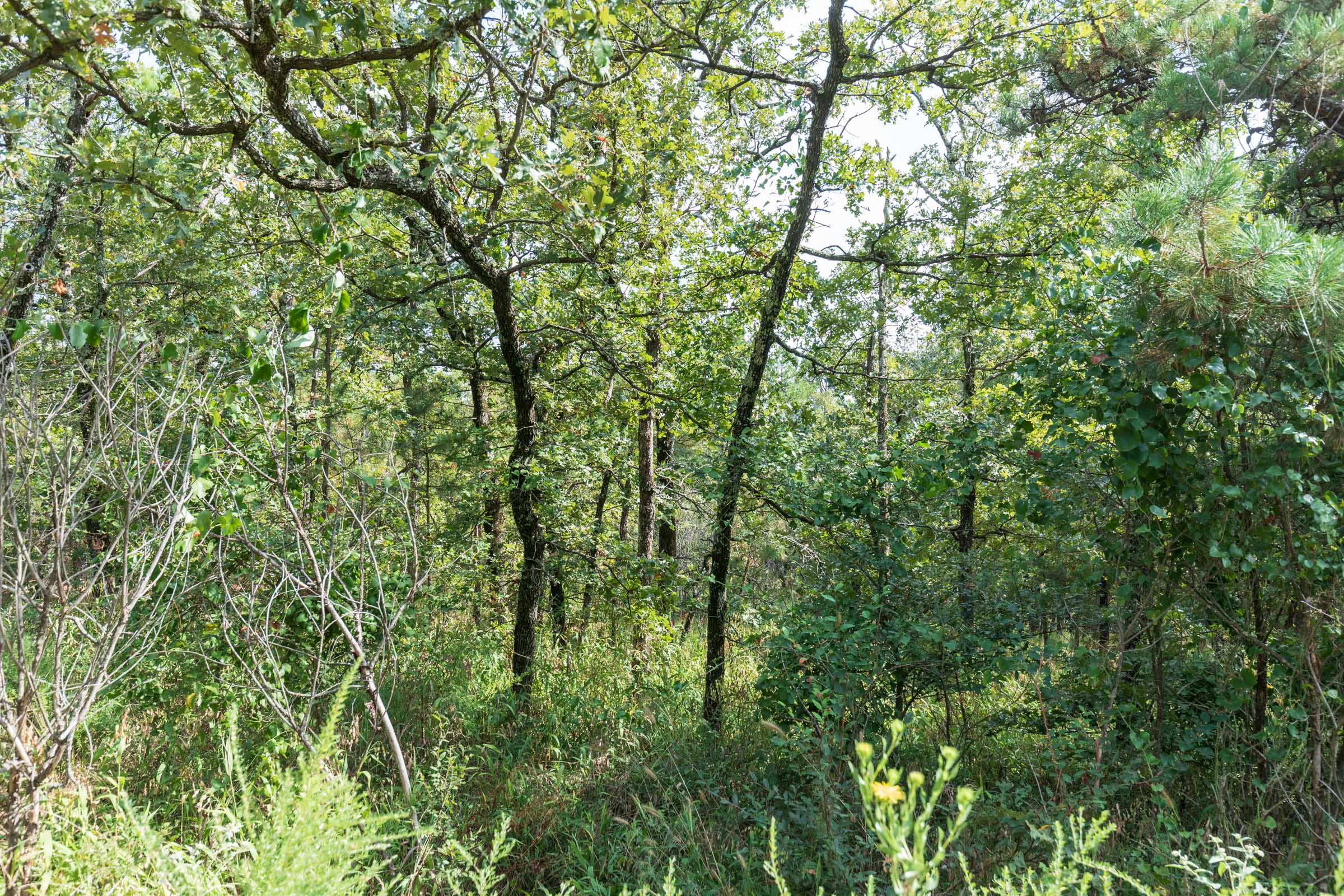 Tract 347 at Stone Bridge Phase V in LatimerHaskell County, Oklahoma