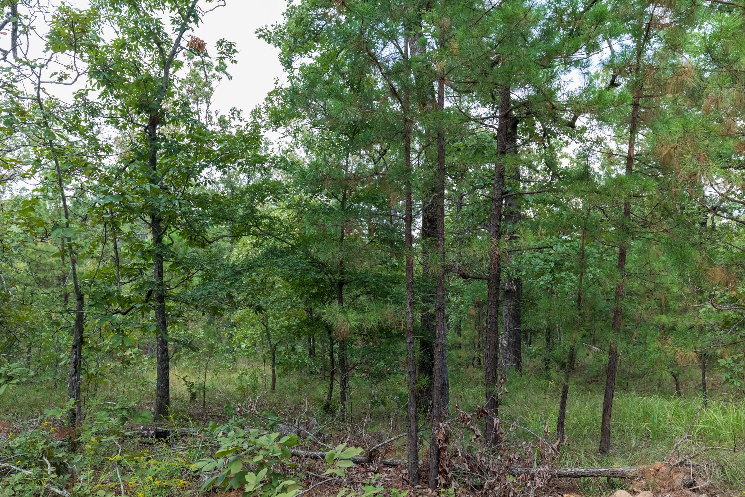 Tract 350 at Stone Bridge Phase V in LatimerHaskell County, Oklahoma