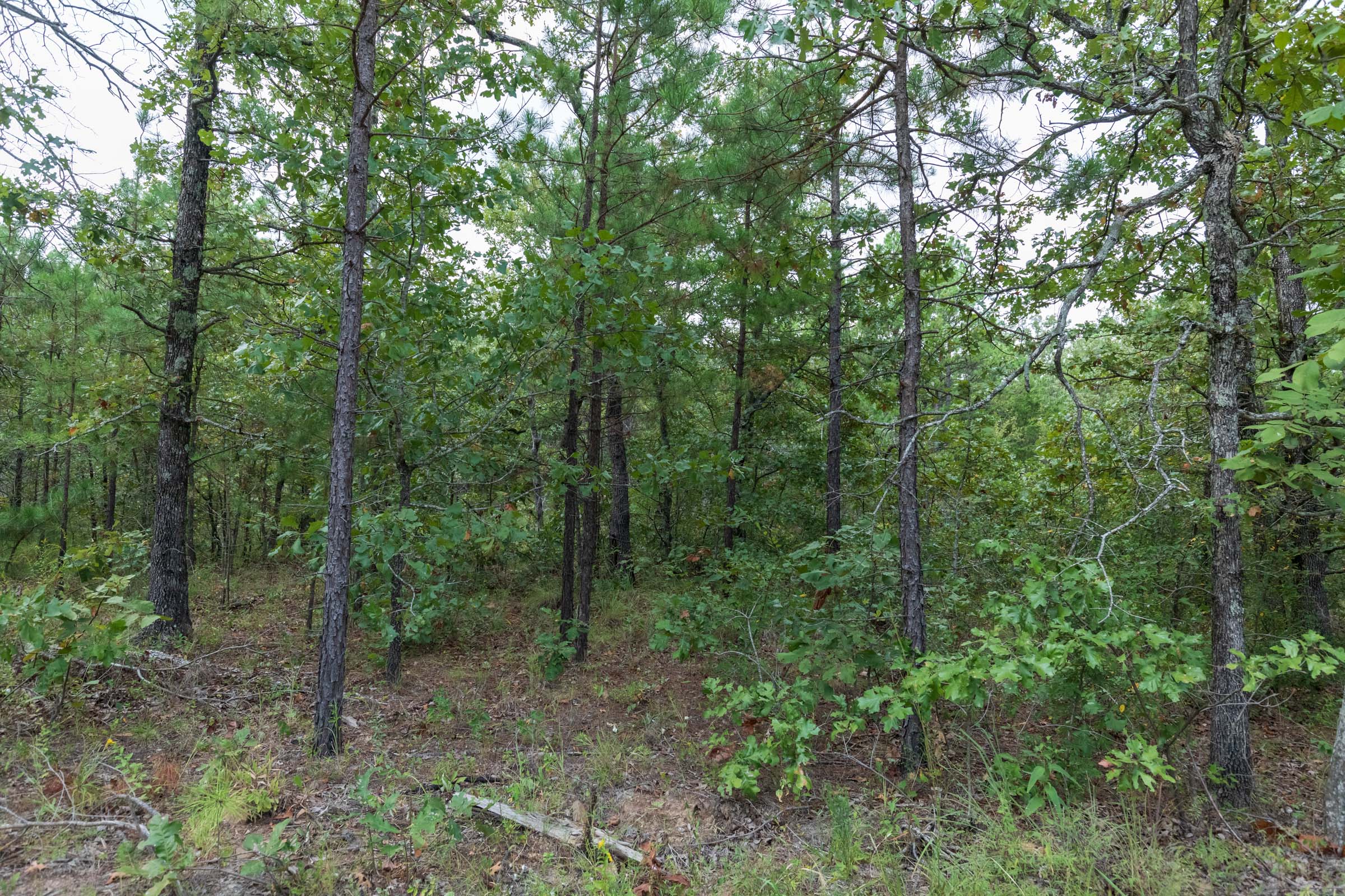 Tract 351 at Stone Bridge Phase V in LatimerHaskell County, Oklahoma