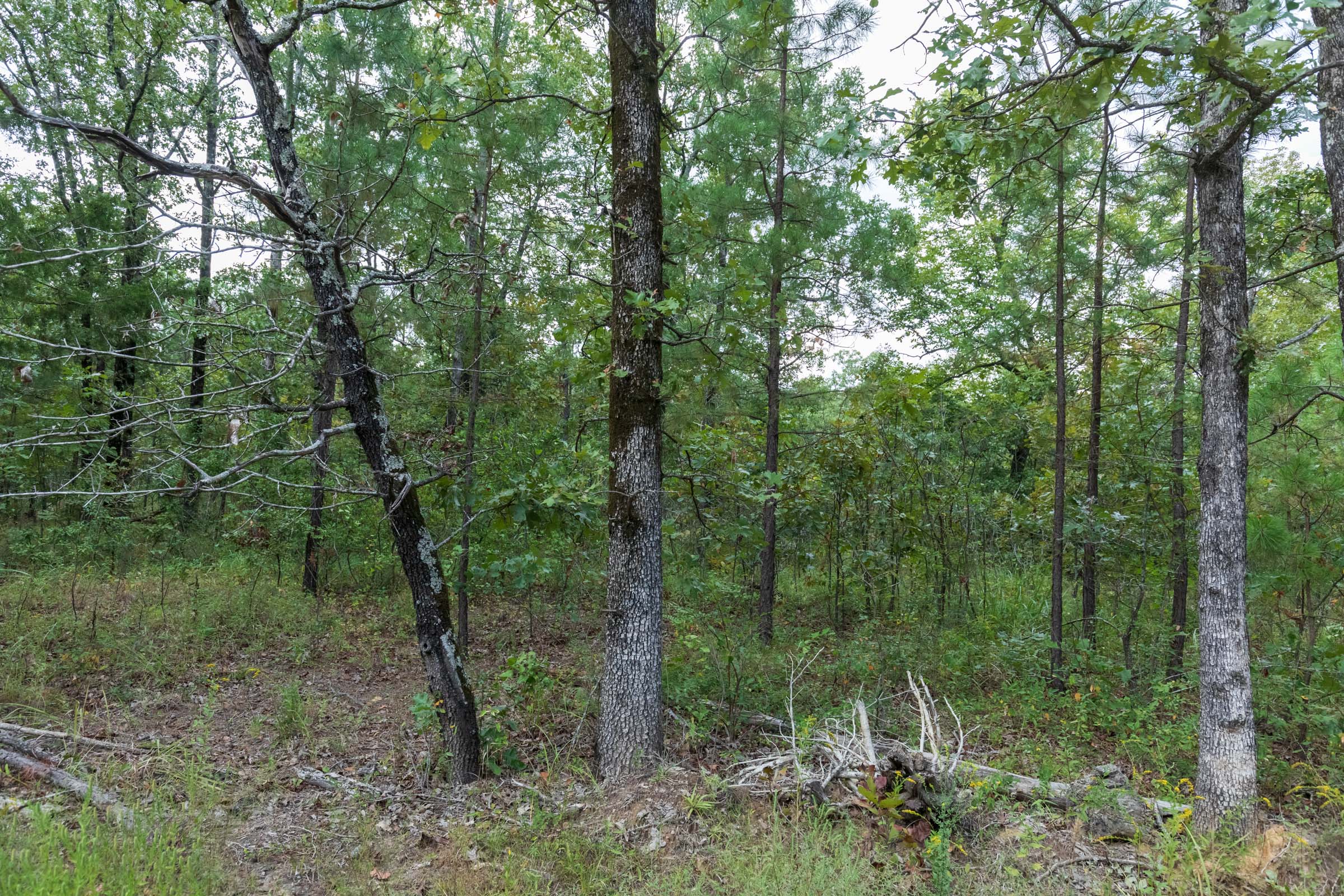 Tract 354 at Stone Bridge Phase V in LatimerHaskell County, Oklahoma