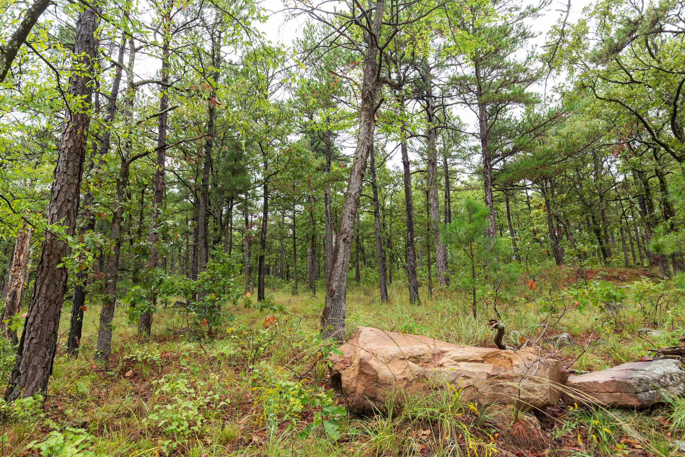 Tract 356 at Stone Bridge Phase V in LatimerHaskell County, Oklahoma