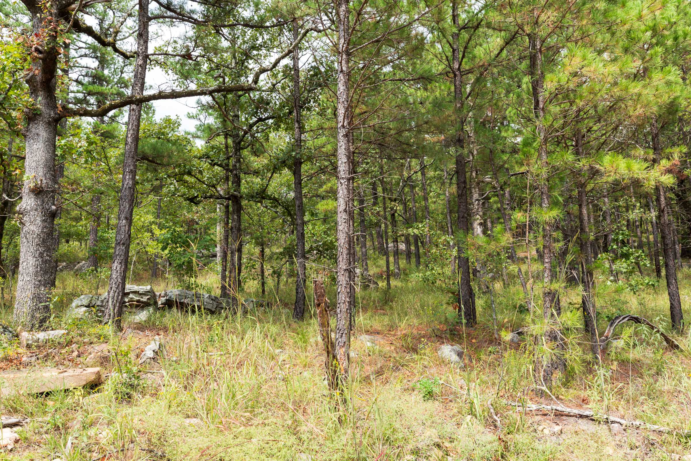 Tract 358 at Stone Bridge Phase V in LatimerHaskell County, Oklahoma