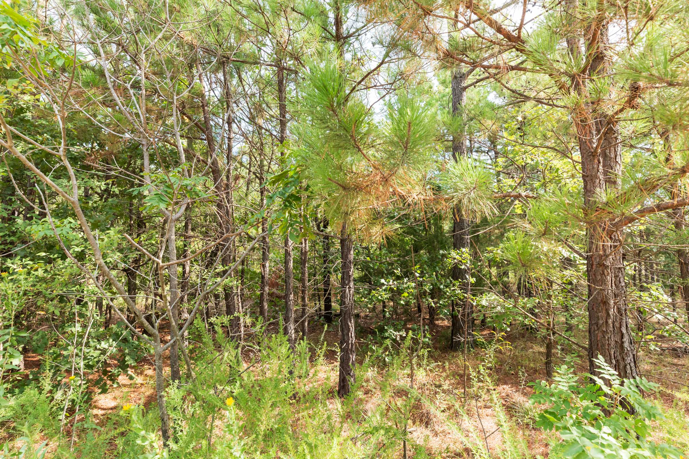 Tract 367 at Stone Bridge Phase V in LatimerHaskell County, Oklahoma
