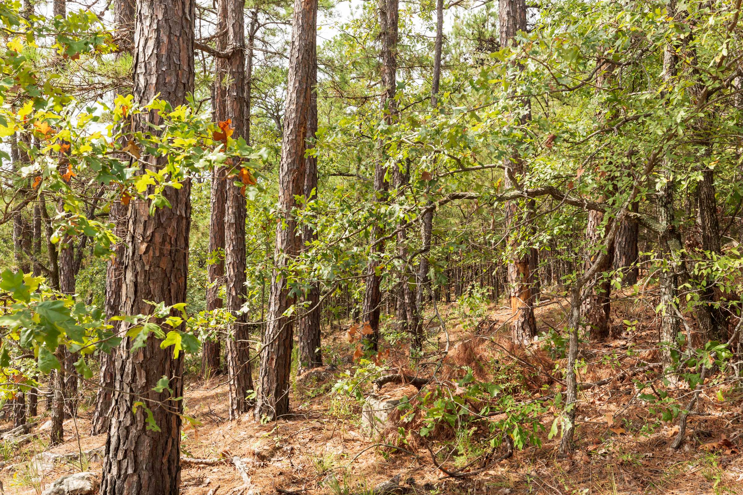 Tract 369 at Stone Bridge Phase V in LatimerHaskell County, Oklahoma