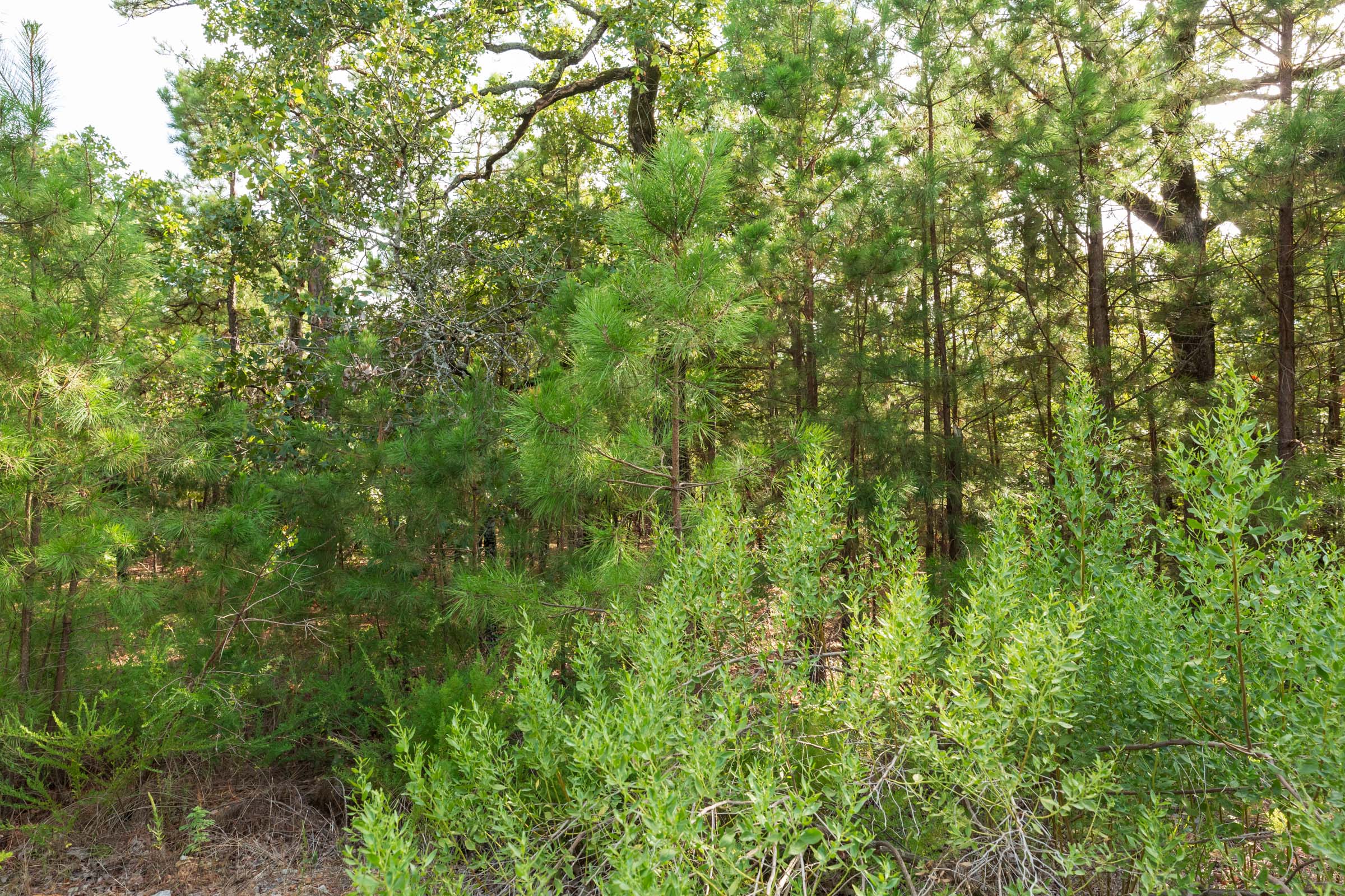 Tract 373 at Stone Bridge Phase V in LatimerHaskell County, Oklahoma