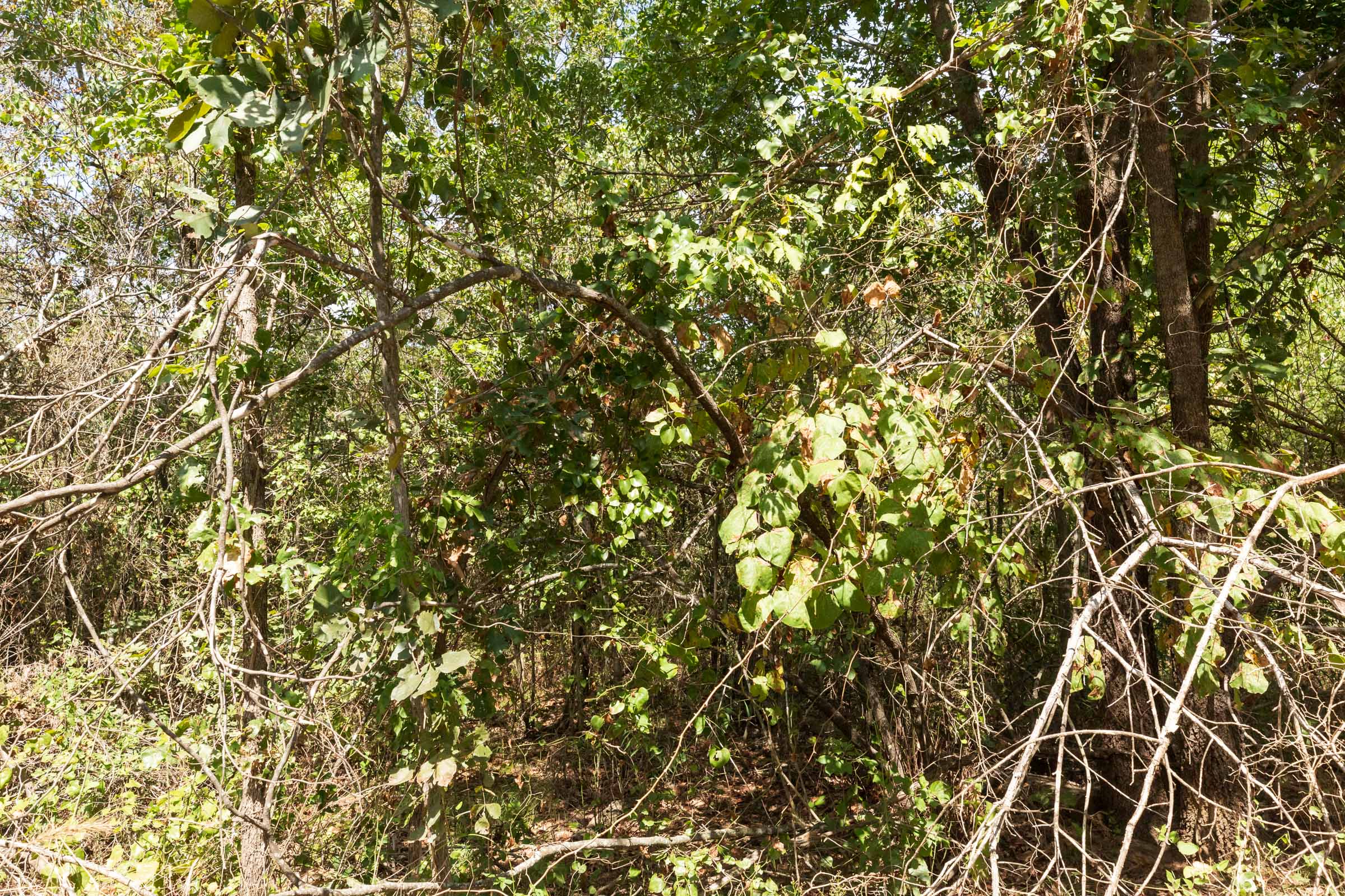 Tract 375 at Stone Bridge Phase V in LatimerHaskell County, Oklahoma