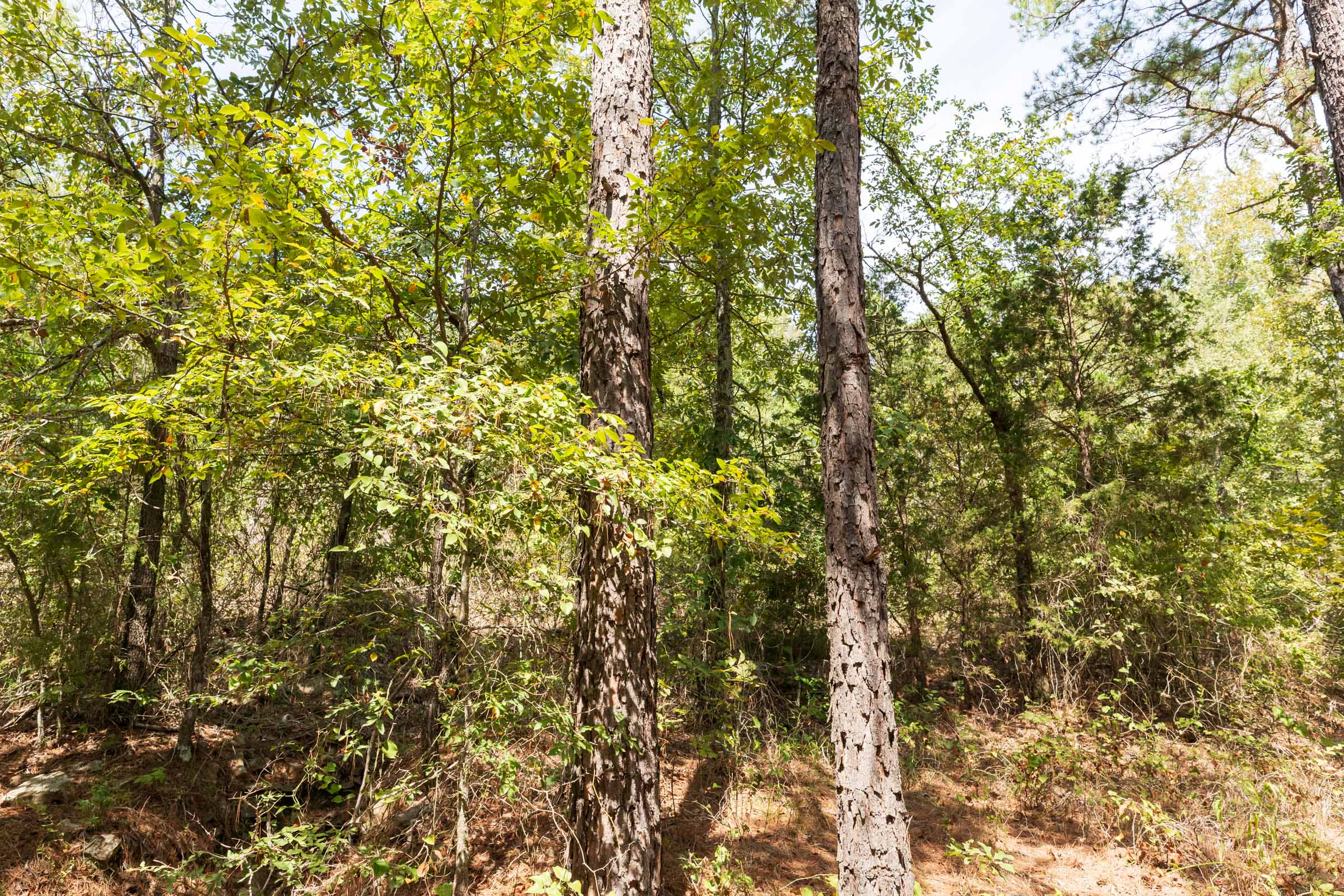Tract 376 at Stone Bridge Phase V in LatimerHaskell County, Oklahoma