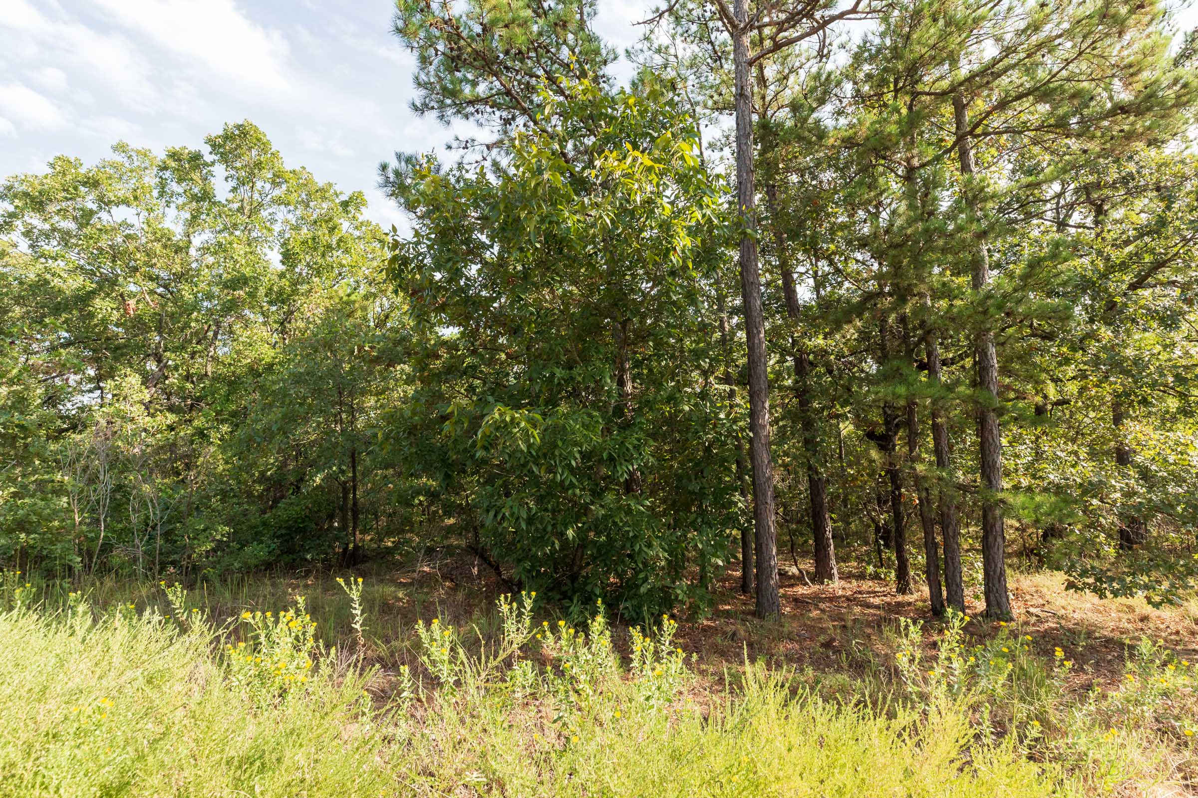 Tract 377 at Stone Bridge Phase V in LatimerHaskell County, Oklahoma