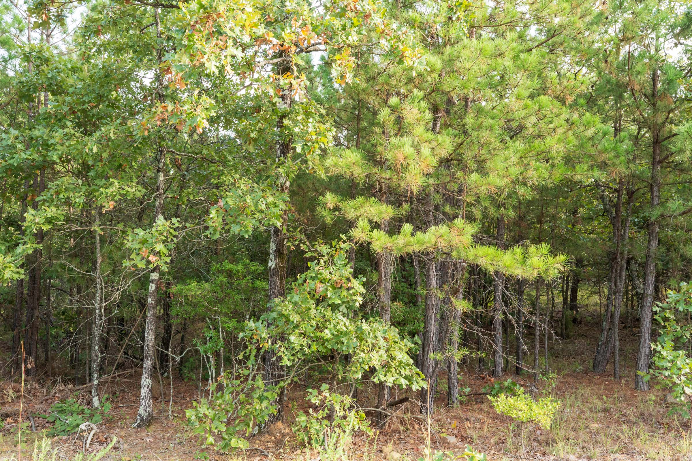 Tract 378 at Stone Bridge Phase V in LatimerHaskell County, Oklahoma