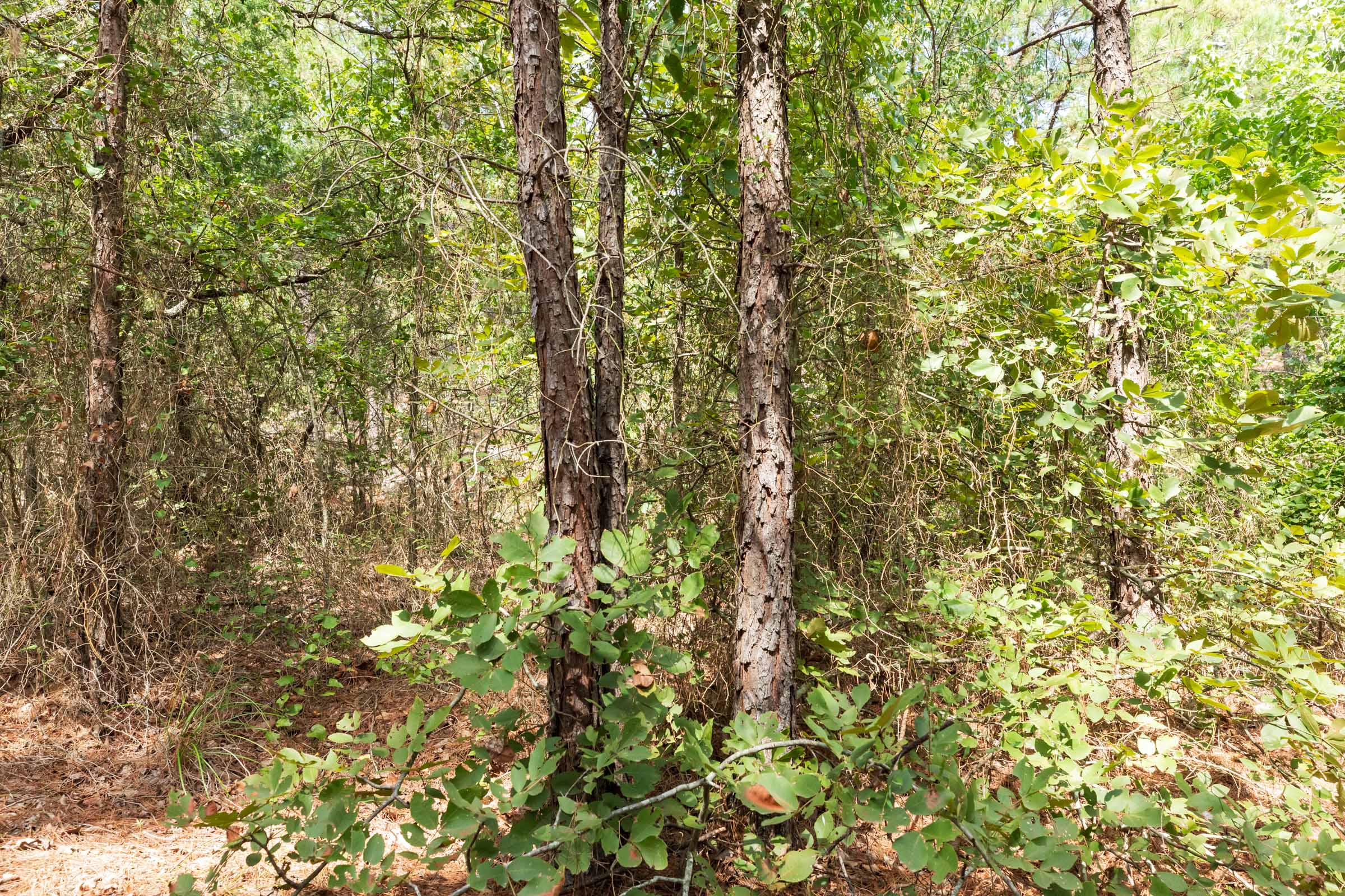 Tract 379 at Stone Bridge Phase V in LatimerHaskell County, Oklahoma