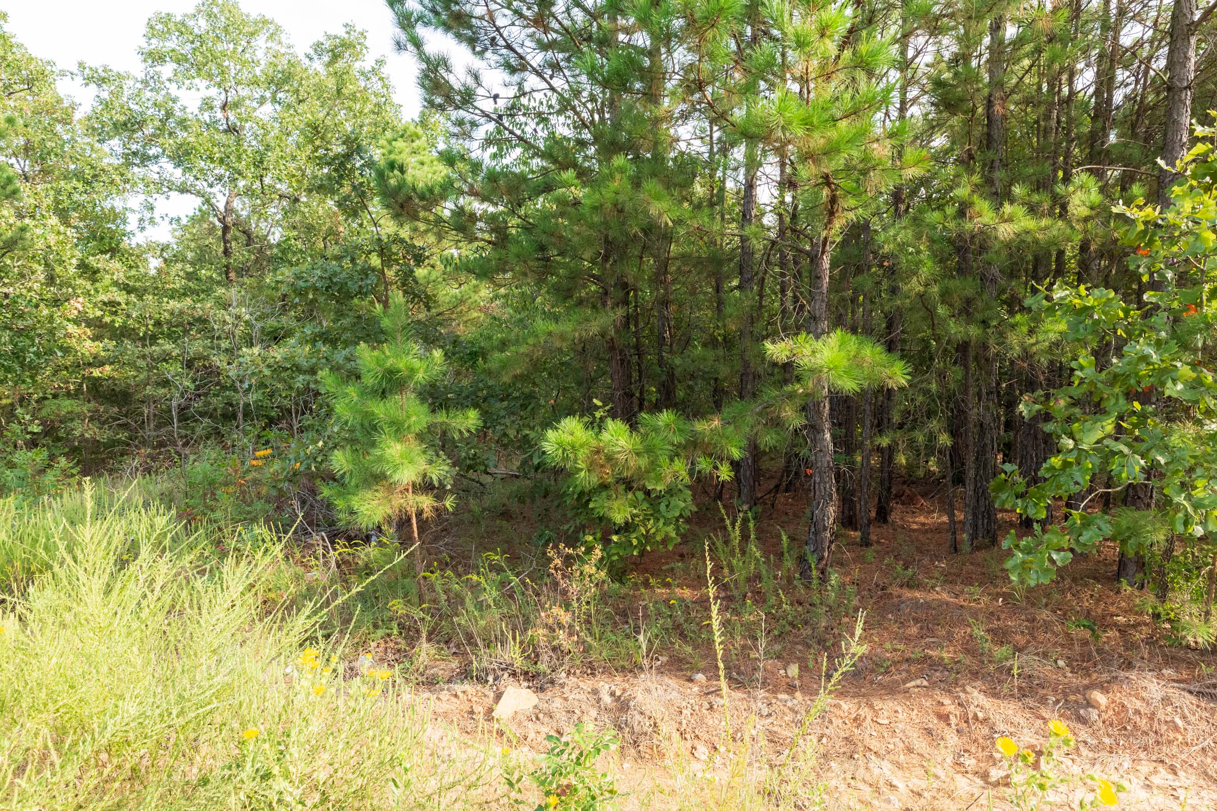 Tract 381 at Stone Bridge Phase V in LatimerHaskell County, Oklahoma