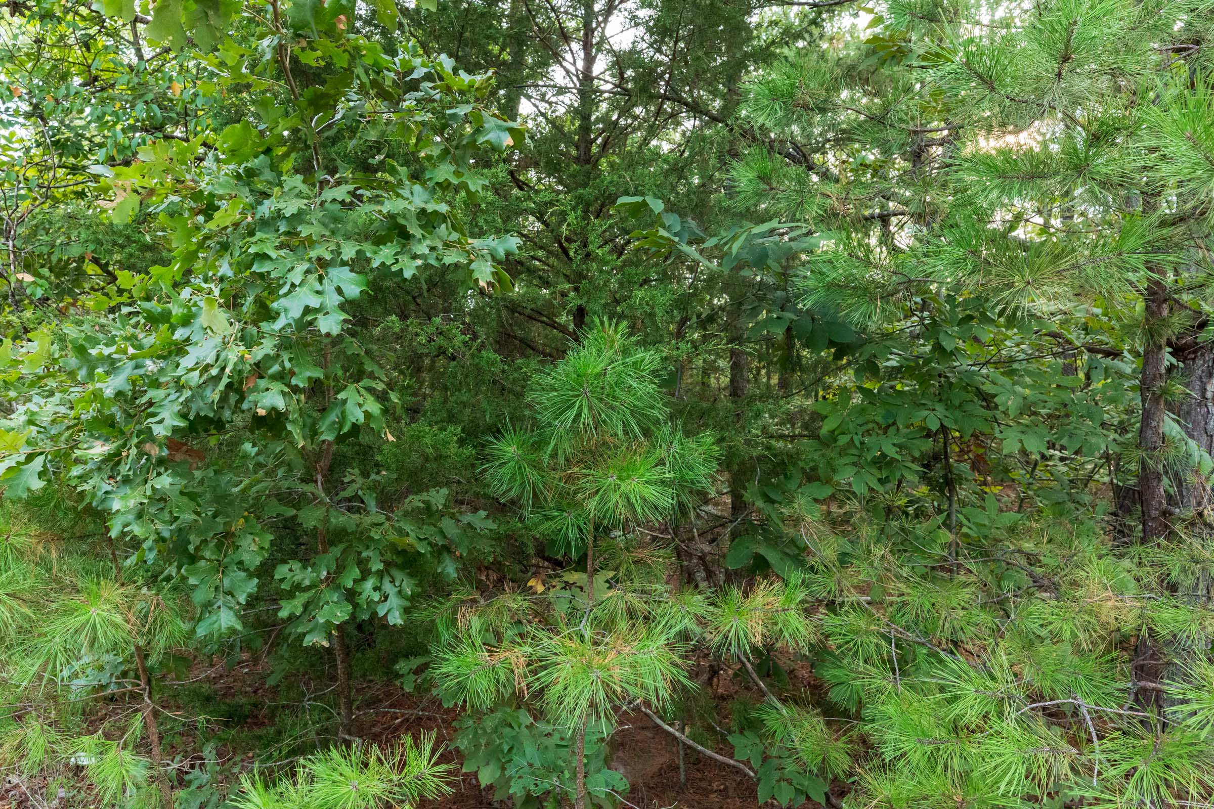 Tract 390 at Stone Bridge Phase V in LatimerHaskell County, Oklahoma