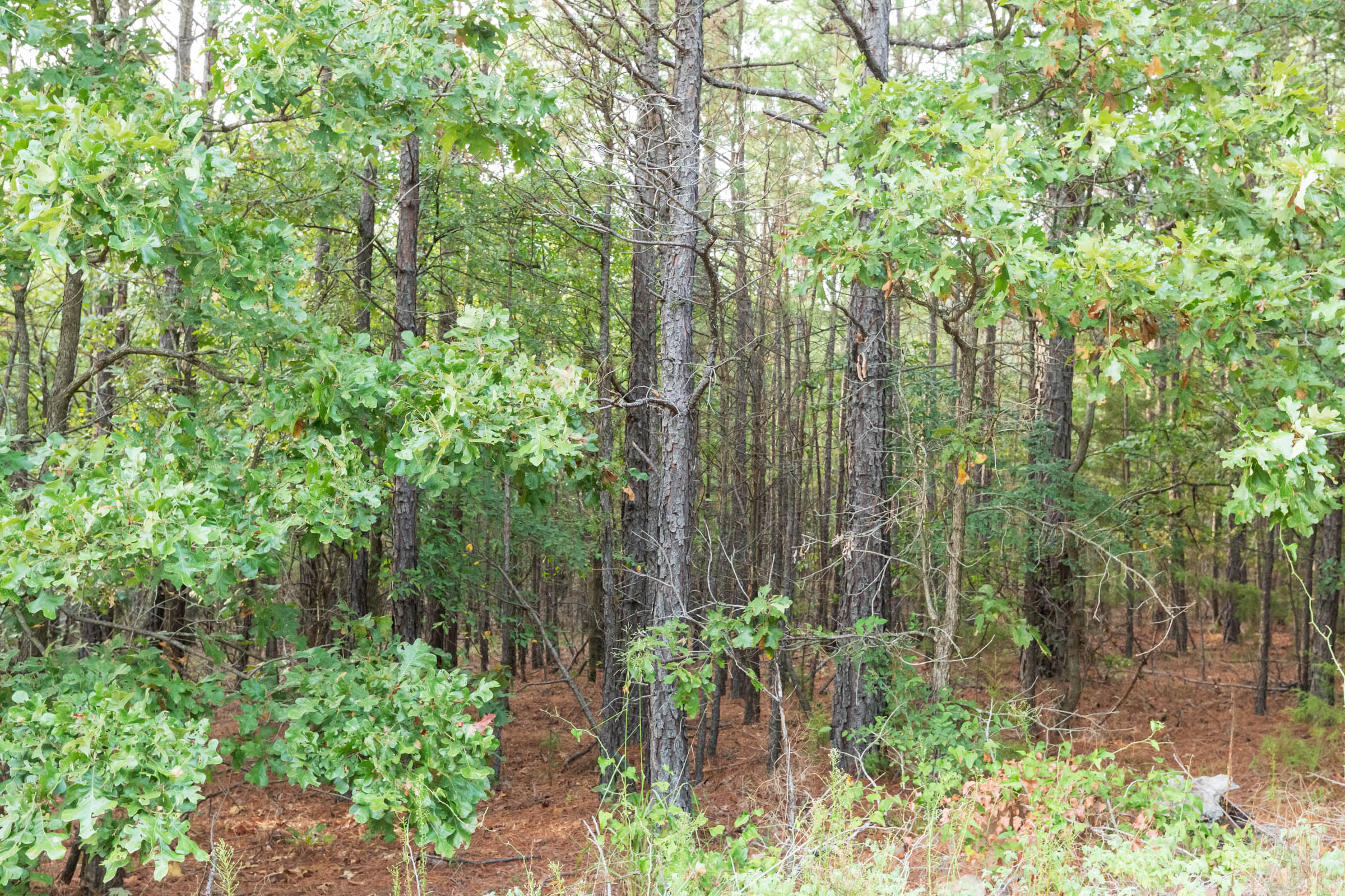 Tract 391 at Stone Bridge Phase V in LatimerHaskell County, Oklahoma