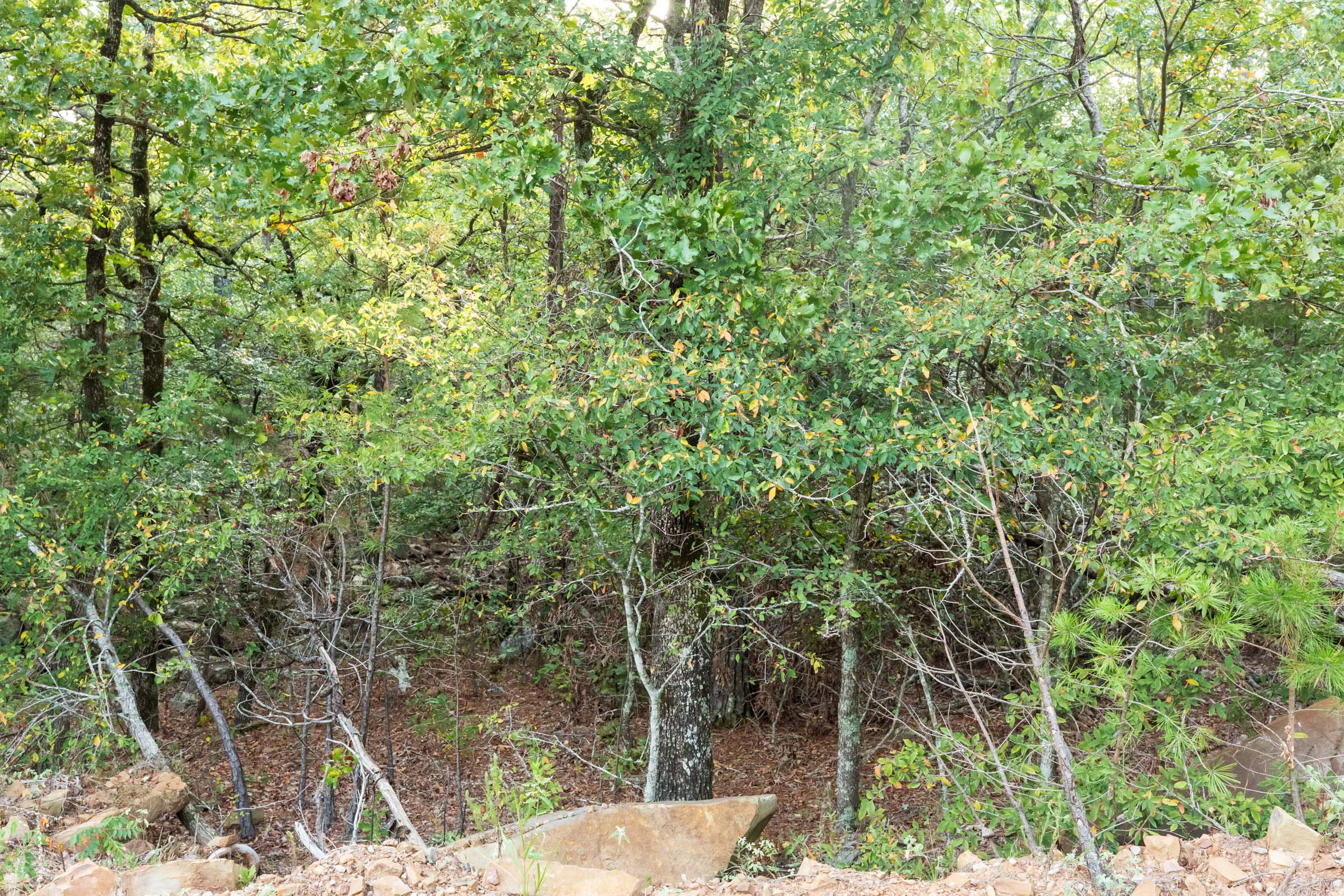 Tract 392 at Stone Bridge Phase V in LatimerHaskell County, Oklahoma