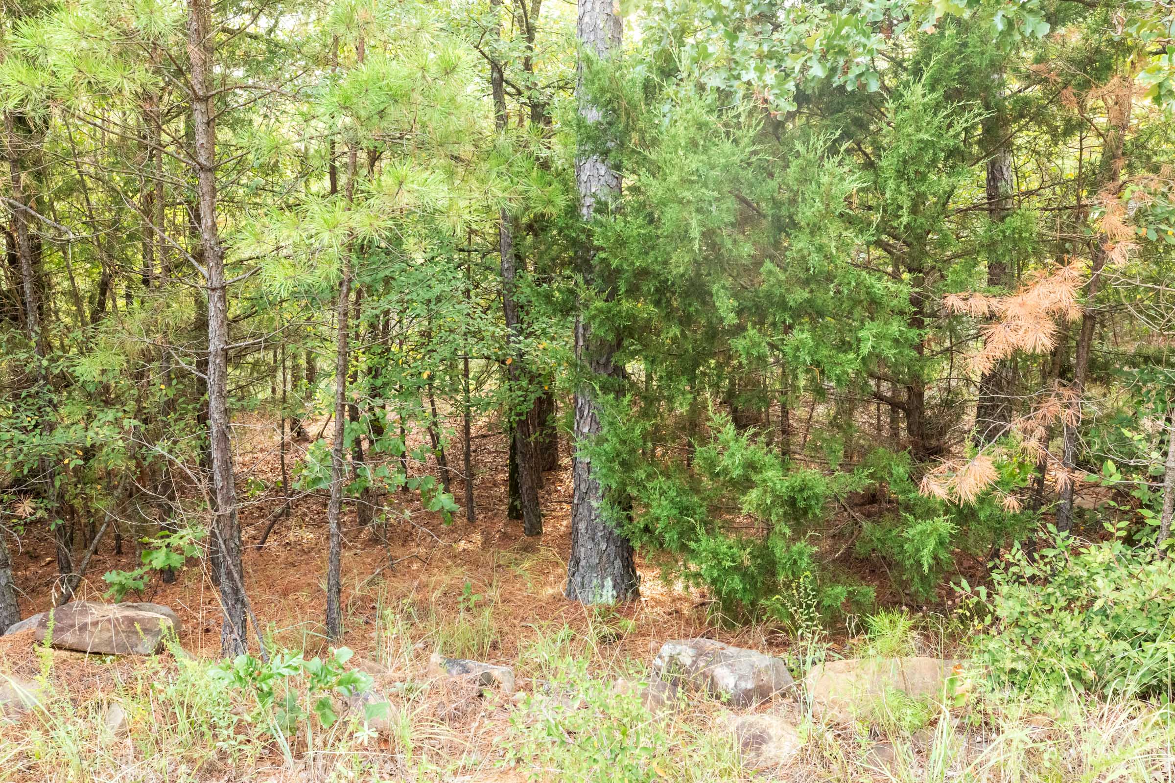 Tract 393 at Stone Bridge Phase V in LatimerHaskell County, Oklahoma