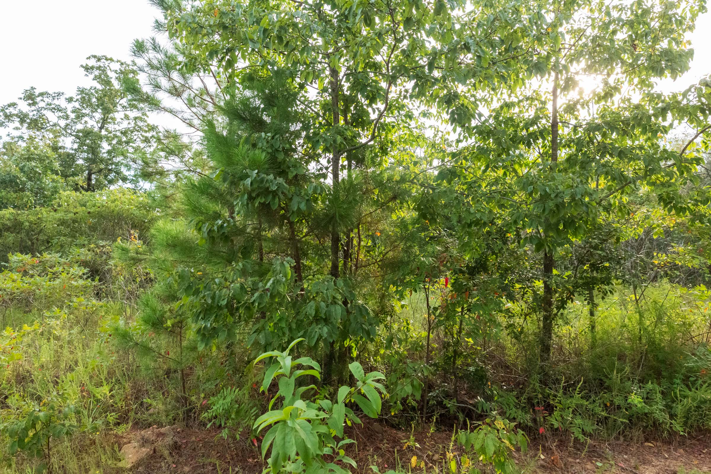Tract 394 at Stone Bridge Phase V in LatimerHaskell County, Oklahoma