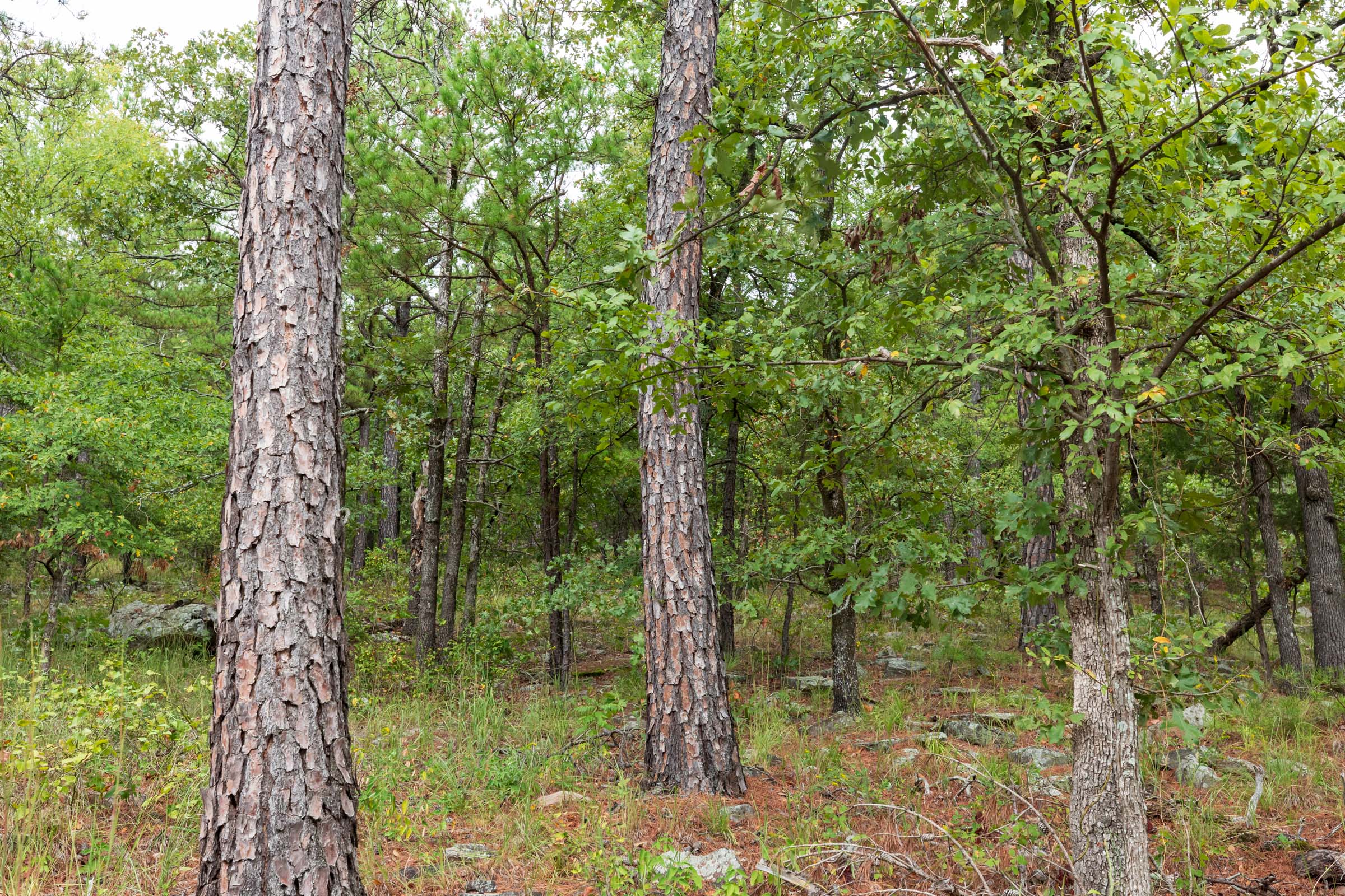 Tract 398 at Stone Bridge Phase V in LatimerHaskell County, Oklahoma