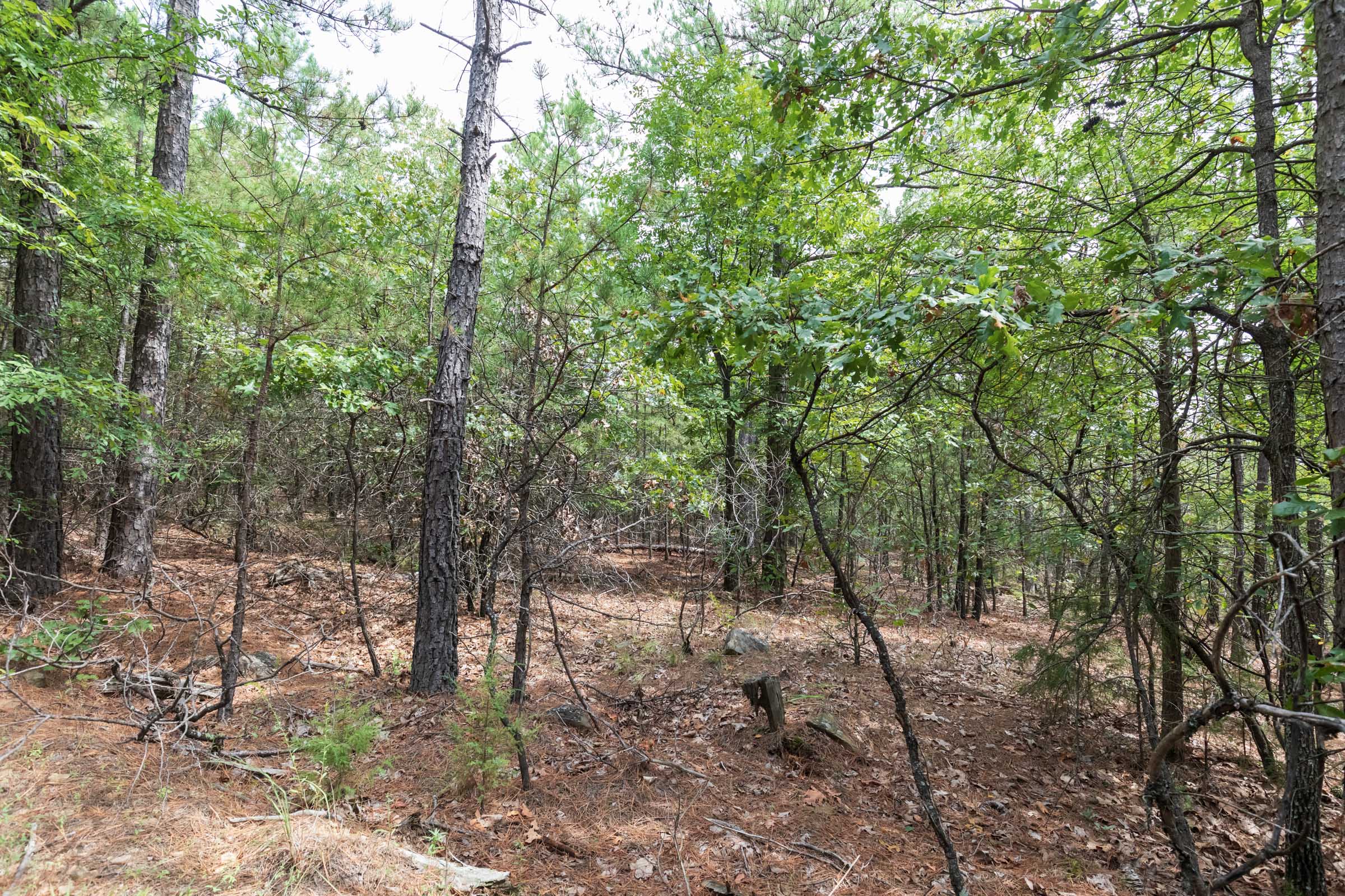 Tract 401 at Stone Bridge Phase V in LatimerHaskell County, Oklahoma