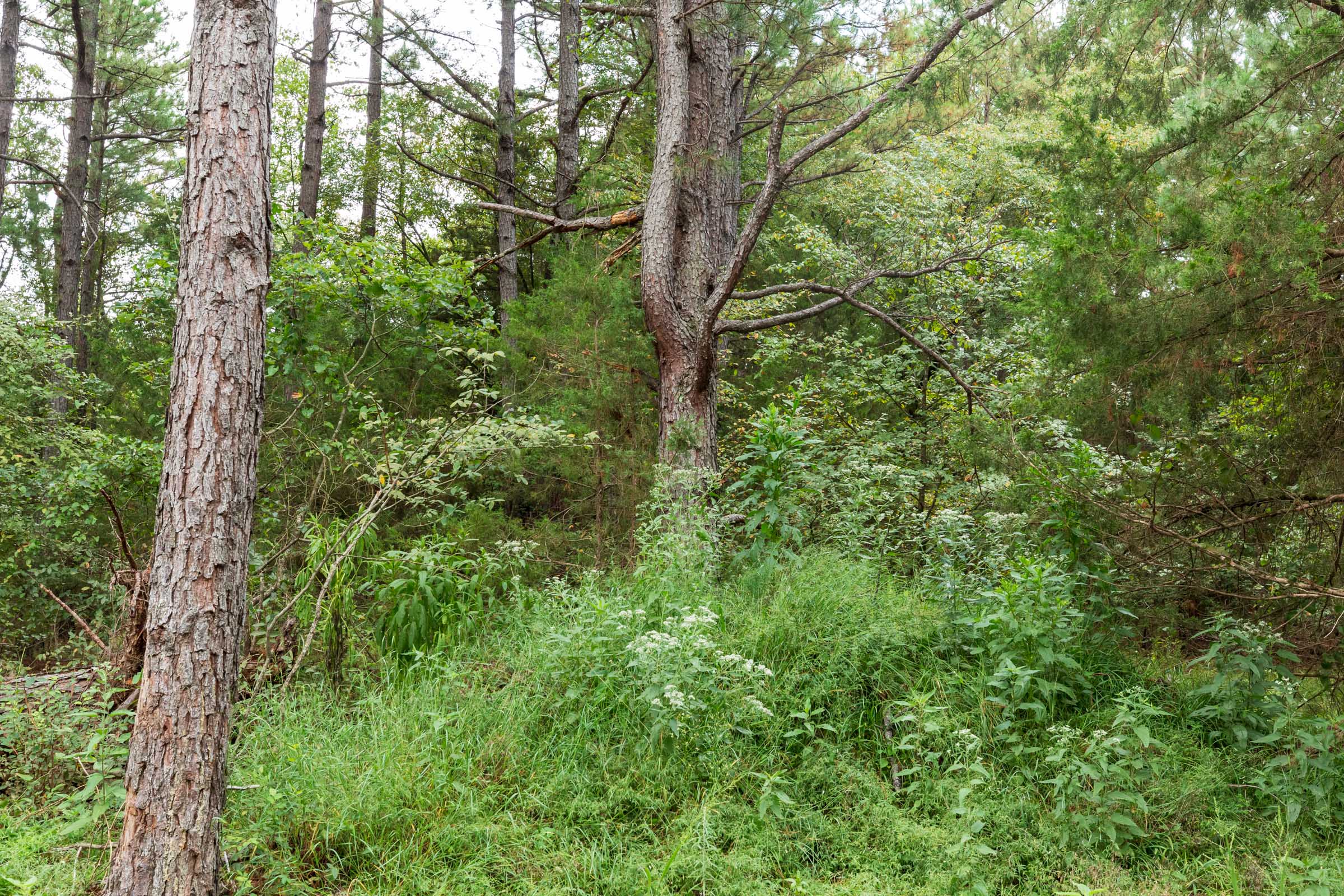 Tract 417 at Stone Bridge Phase V in LatimerHaskell County, Oklahoma