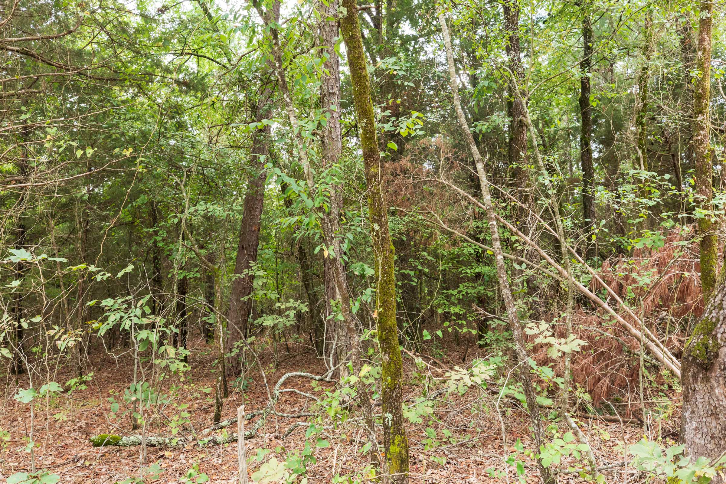 Tract 418 at Stone Bridge Phase V in LatimerHaskell County, Oklahoma