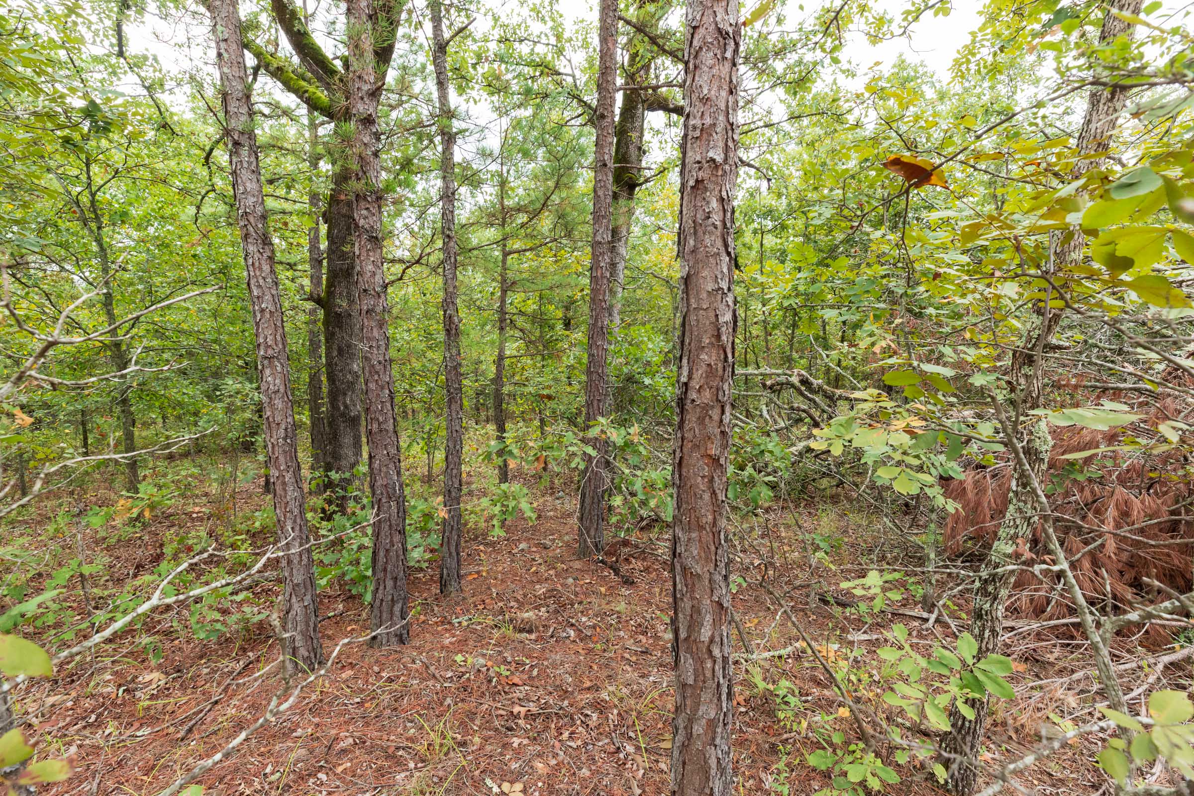 Tract 421 at Stone Bridge Phase V in LatimerHaskell County, Oklahoma