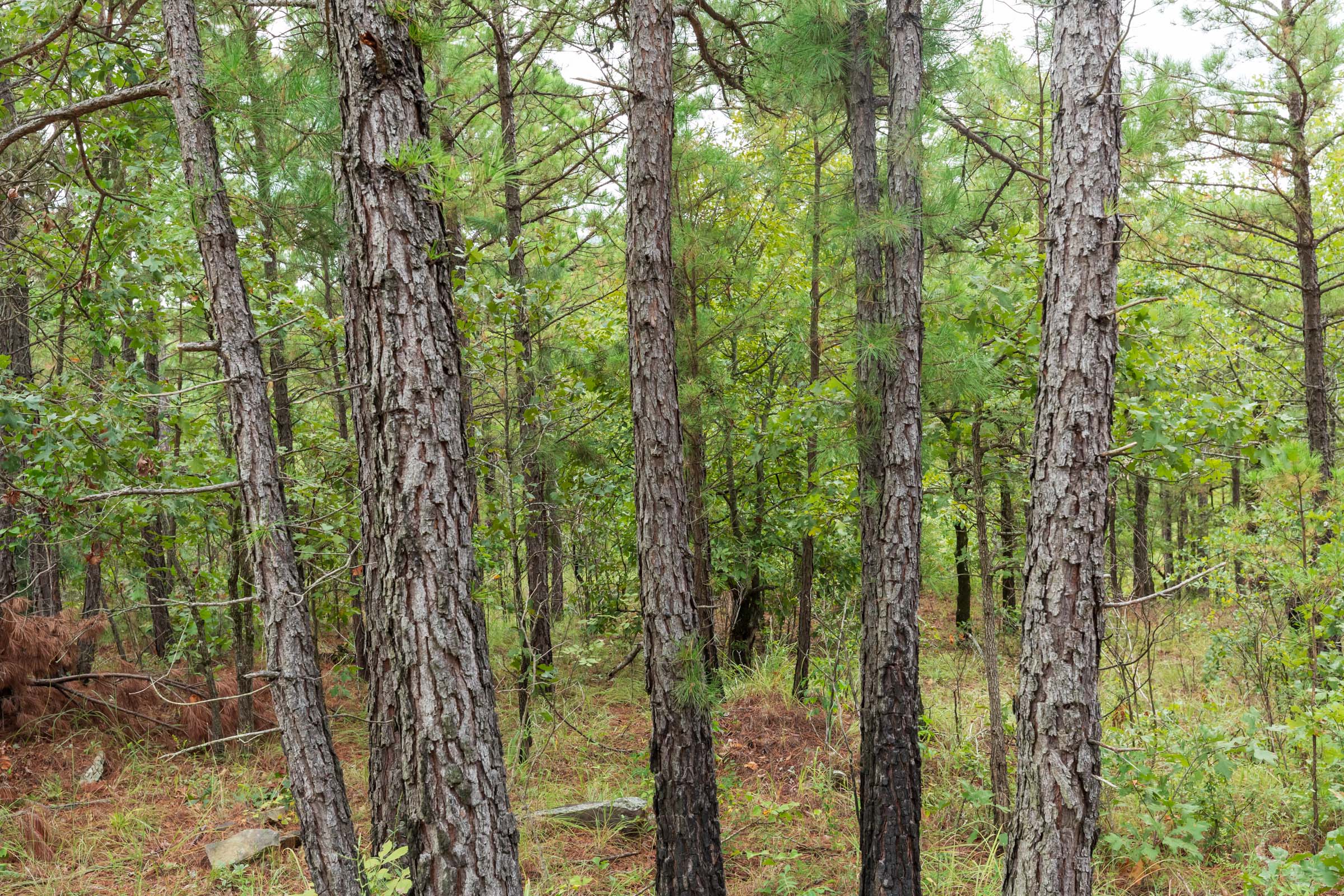 Tract 424 at Stone Bridge Phase V in LatimerHaskell County, Oklahoma