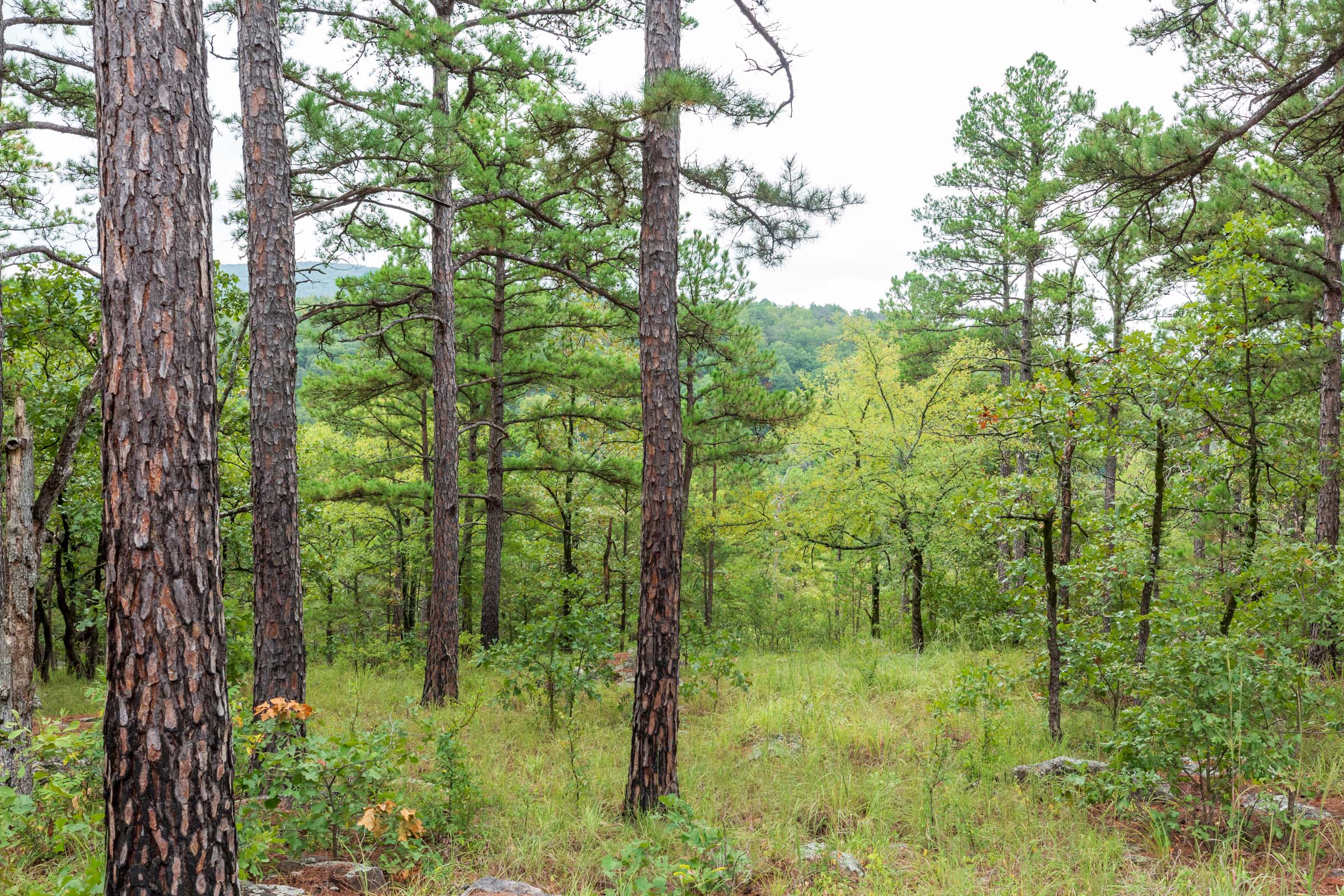 Tract 425 at Stone Bridge Phase V in LatimerHaskell County, Oklahoma