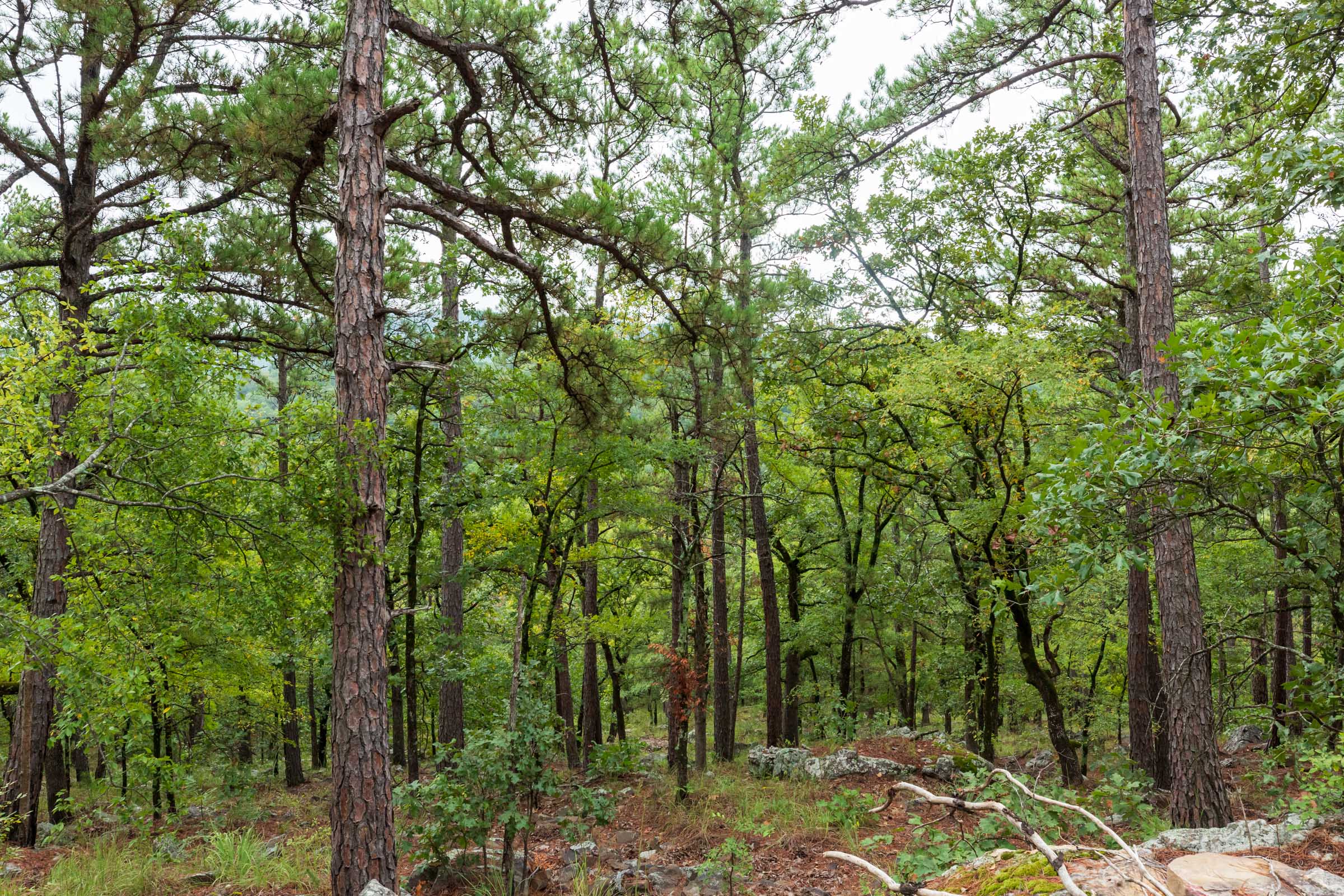 Tract 426 at Stone Bridge Phase V in LatimerHaskell County, Oklahoma