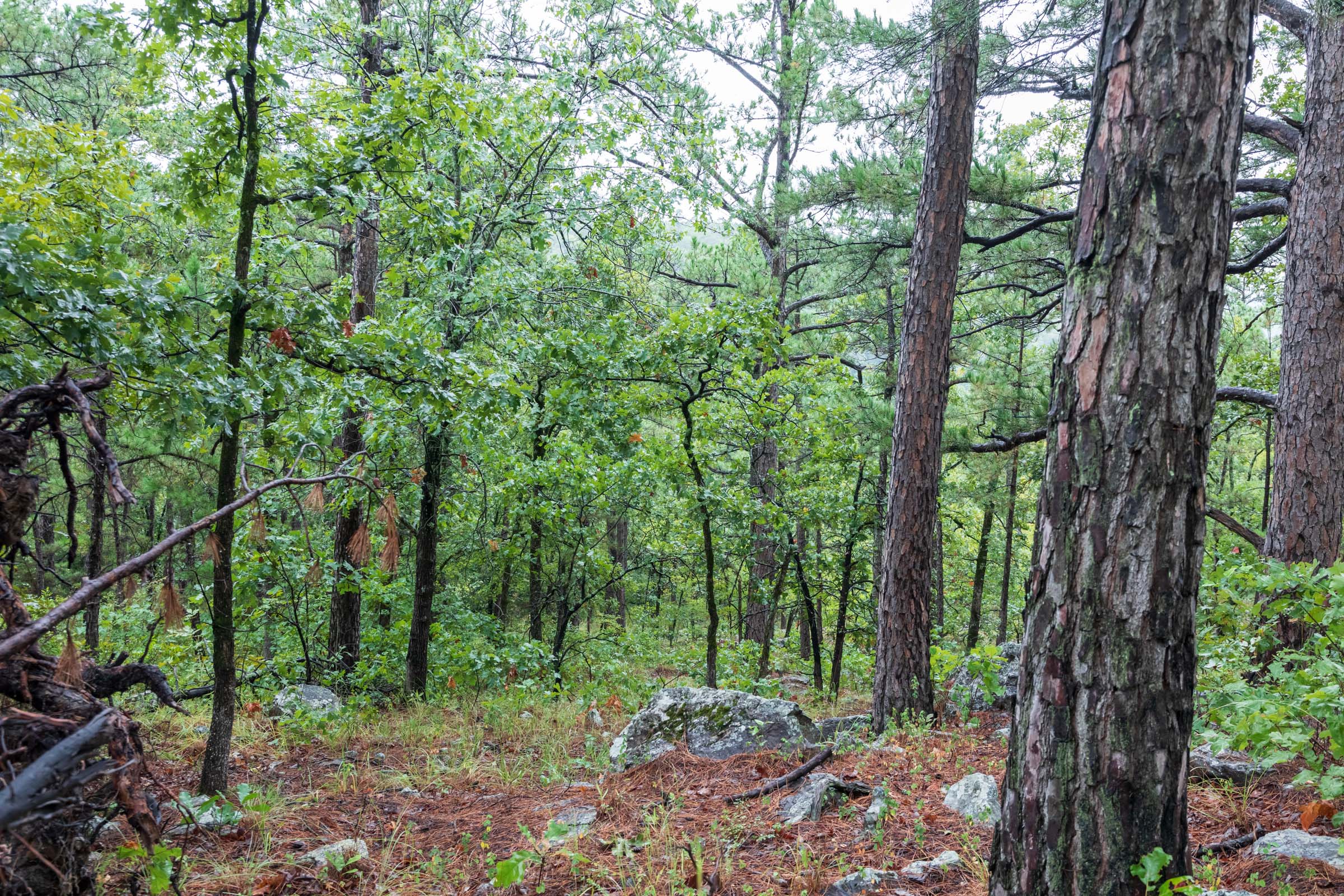 Tract 427 at Stone Bridge Phase V in LatimerHaskell County, Oklahoma
